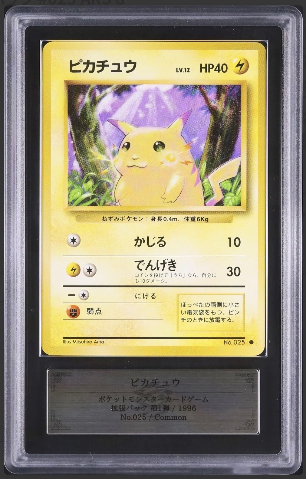 ピカチュウ ● : 旧裏 [PMCG1-2](拡張パック「ポケットモンスター カードゲーム」再販)