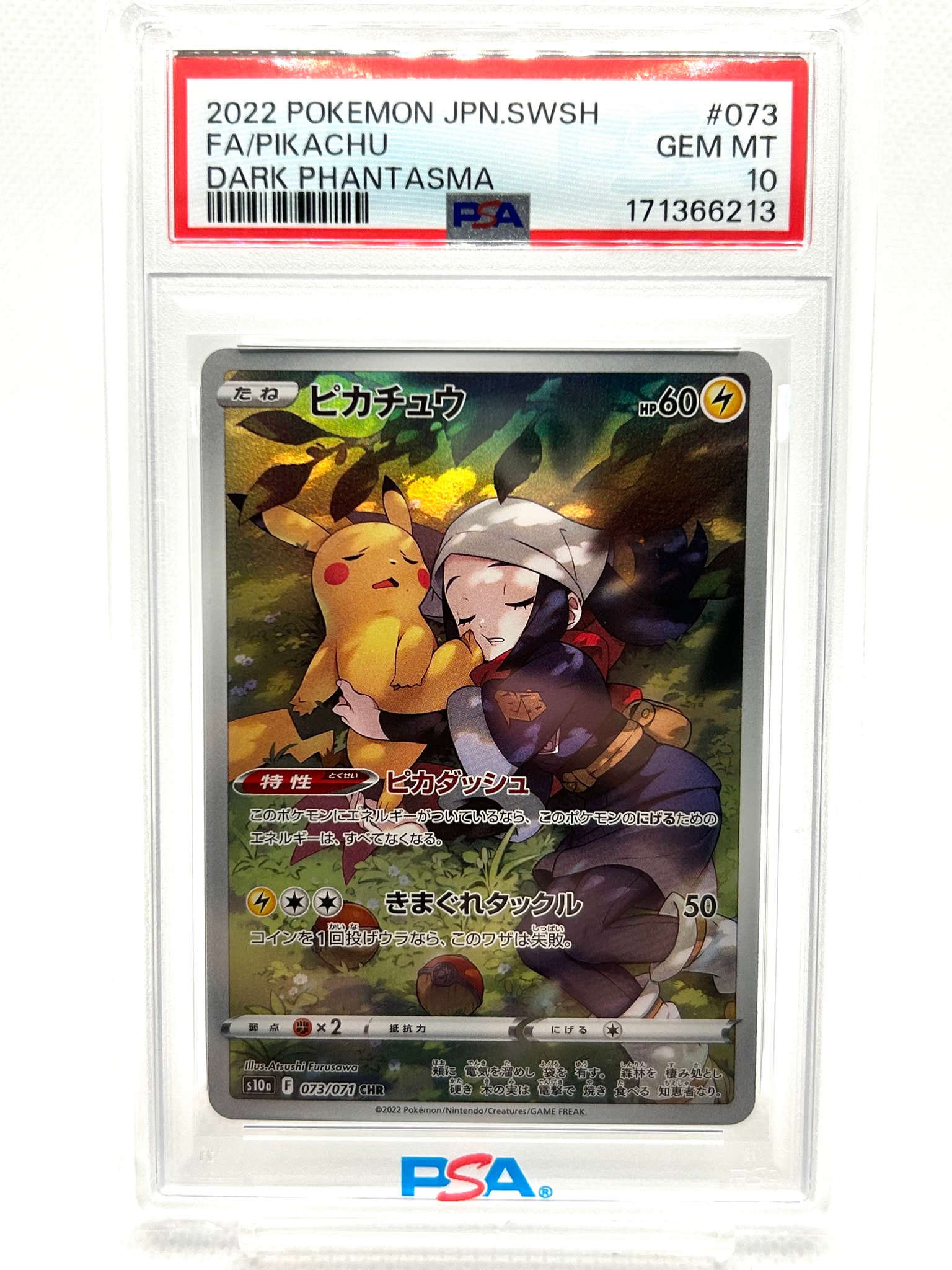 7700982.jpeg?size=m