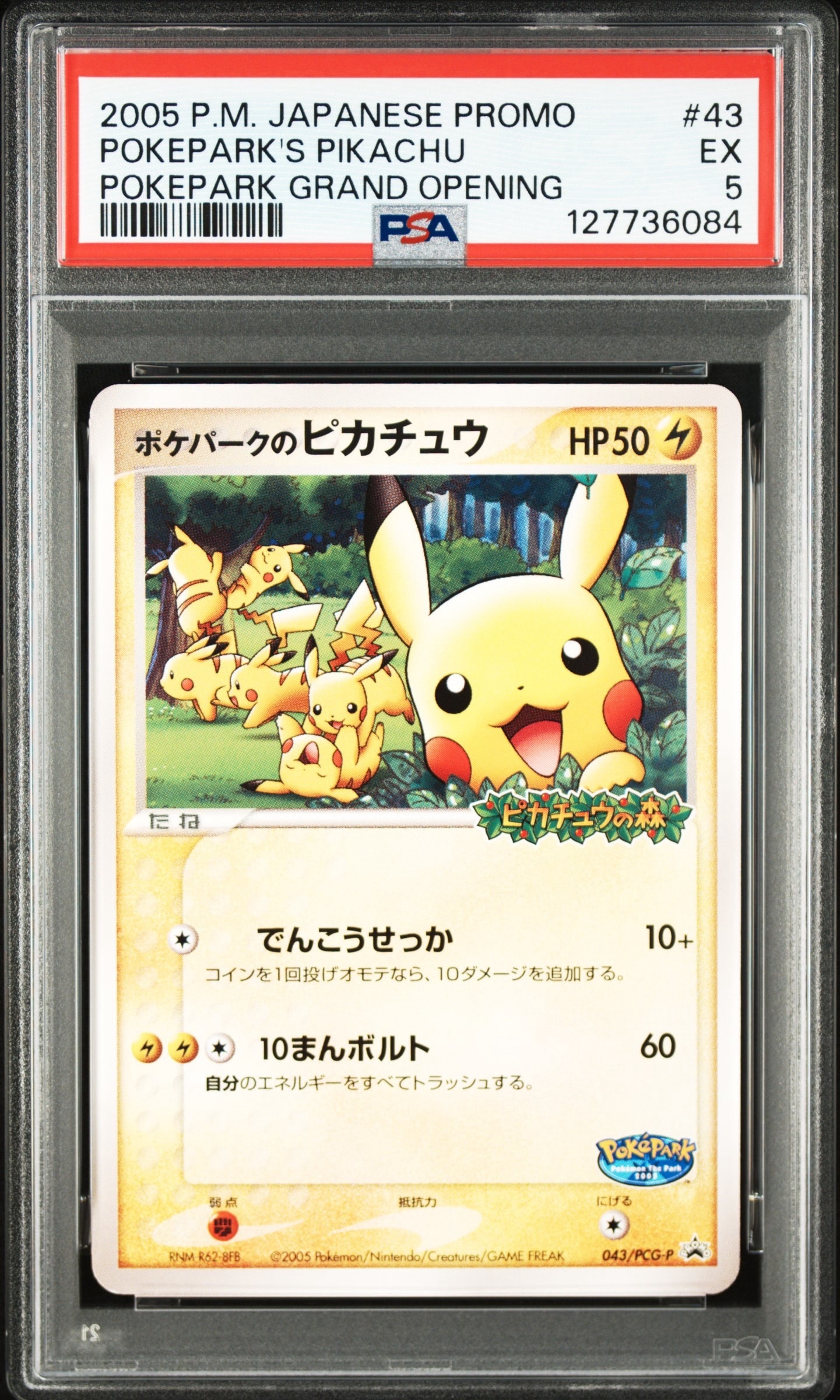 【新品未開封品】ポケパーク　ピカチュウ　ミズゴロウ　ルギア ポケパークのミズゴロウ P [PCG-P 048](プロモーションカード