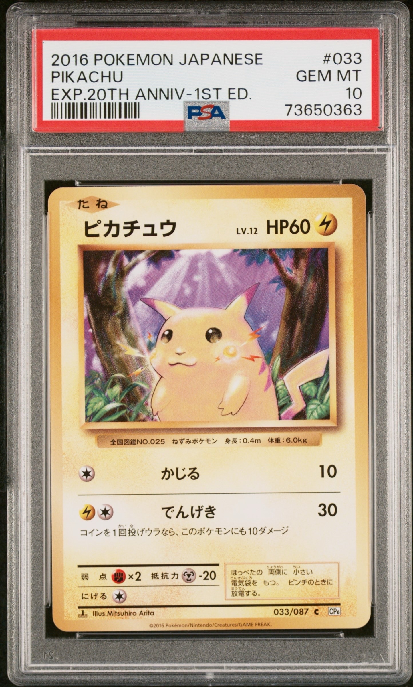 ピカチュウ C :1ED [CP6 033/087](コンセプトパック「ポケットモンスターカードゲーム 拡張パック 20th Anniversary」)