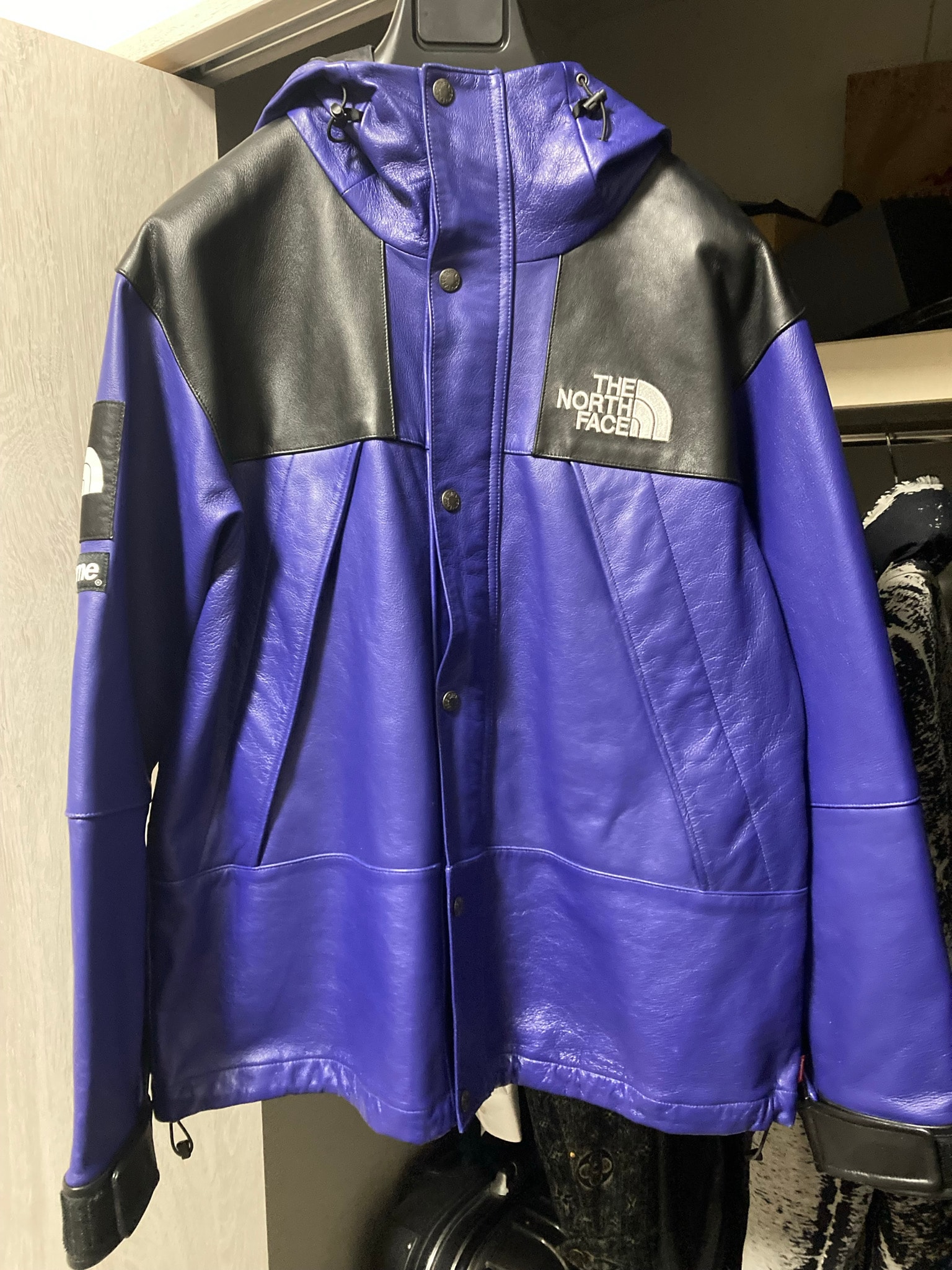 Supreme x The North Face Leather Mountain Parka "Purple"