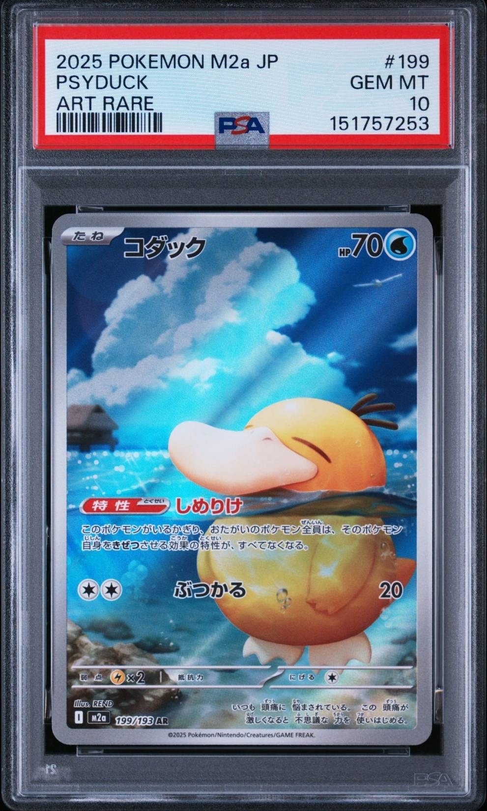 コダック AR [M2a 199/193](ハイクラスパック「MEGAドリームex」)通販