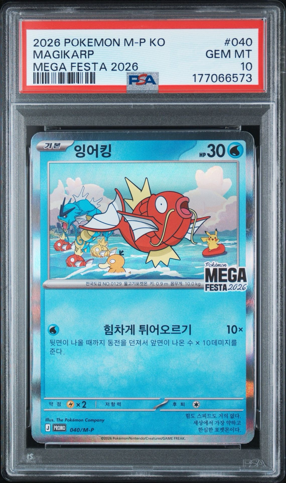 コイキング プロモ [040/M-P]【韓国語版】(プロモーションカード「ポケモン メガフェスタ2026 プロモカードパック」)