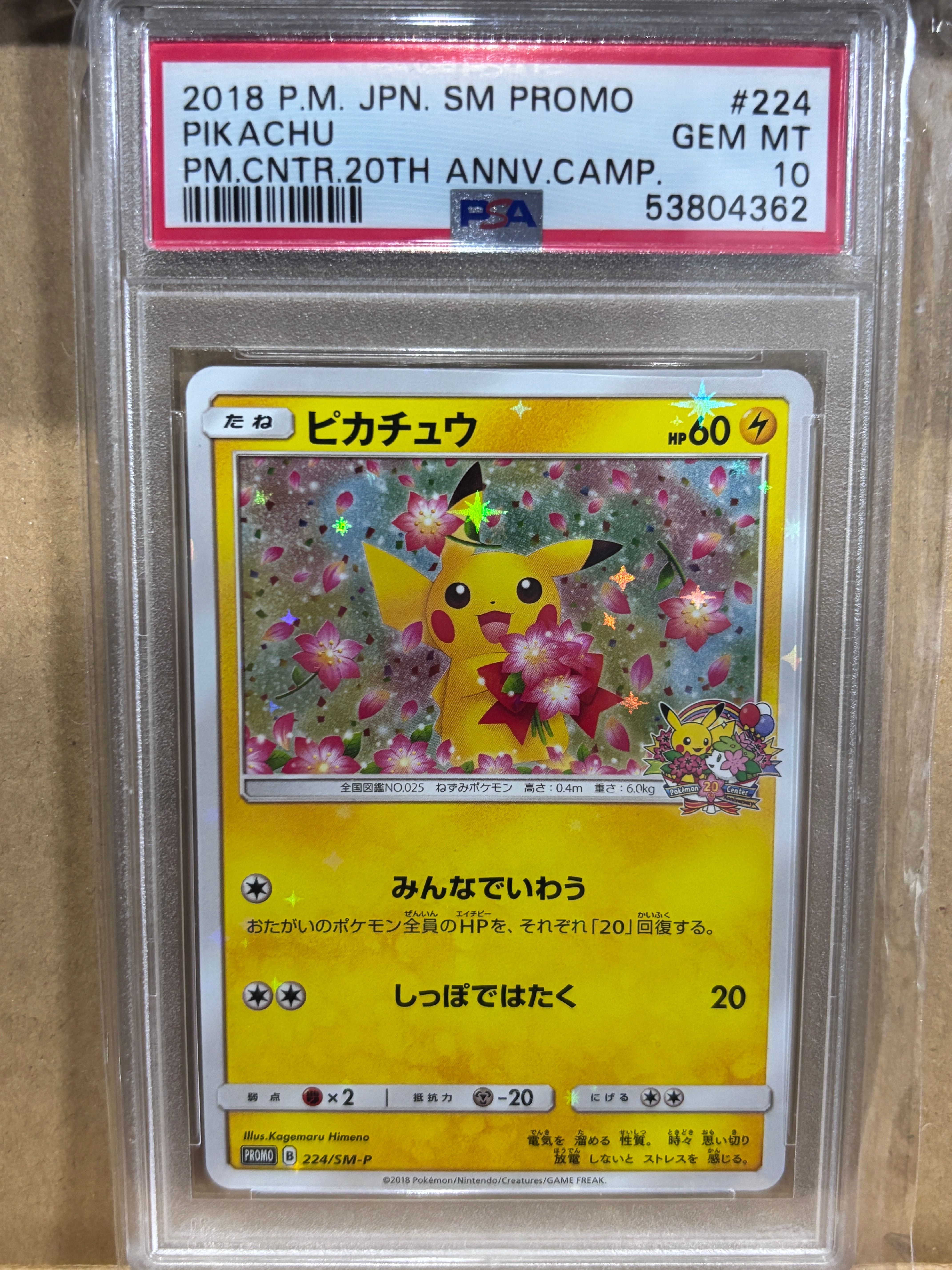 ピカチュウ 224/SM-P ピカチュウ: プロモ[SM-P 224](プロモーションカード「SM-P」)の新品