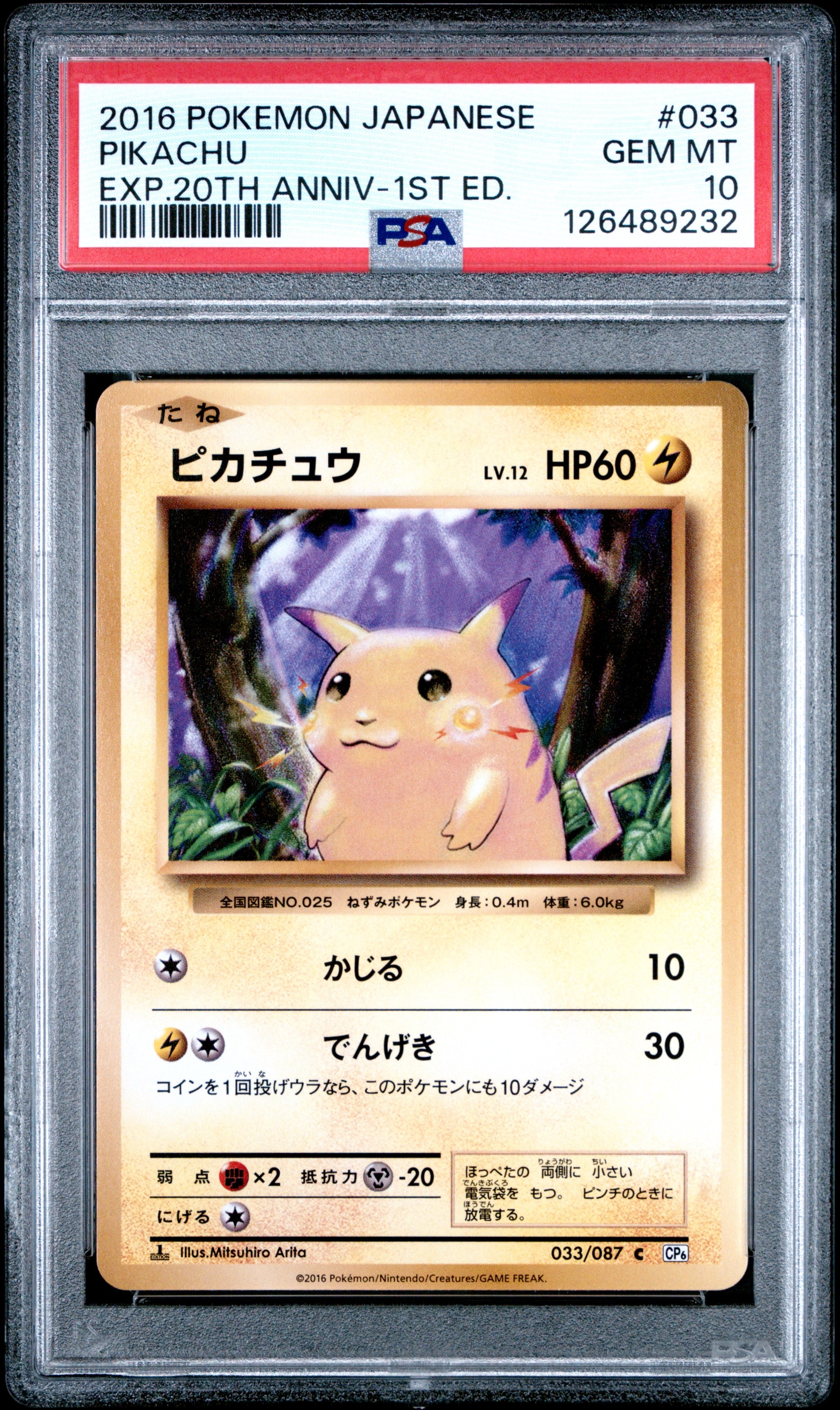 ピカチュウ C :1ED [CP6 033/087](コンセプトパック「ポケットモンスターカードゲーム 拡張パック 20th Anniversary」)