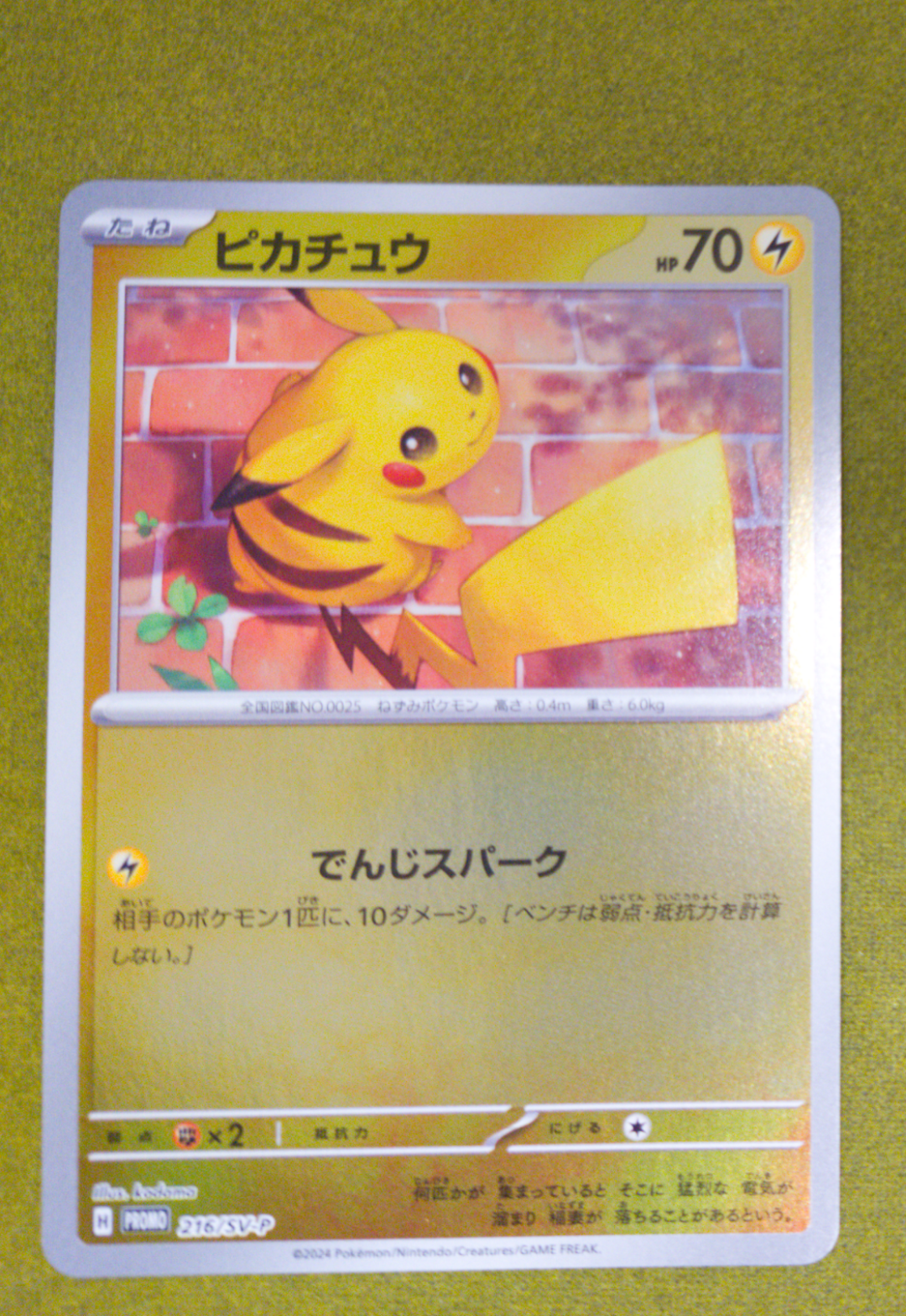 ピカチュウ P [SV-P 216](プロモカードパック「ポケカの夏がキタ!プロモカードGetキャンペーン!」)