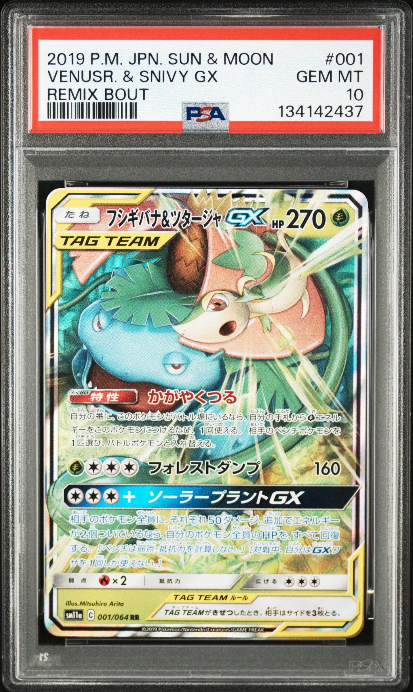 Venusaur & Snivy GX RR [SM11a 001/064](Enhanced Expansion Pack "Remix Bout")