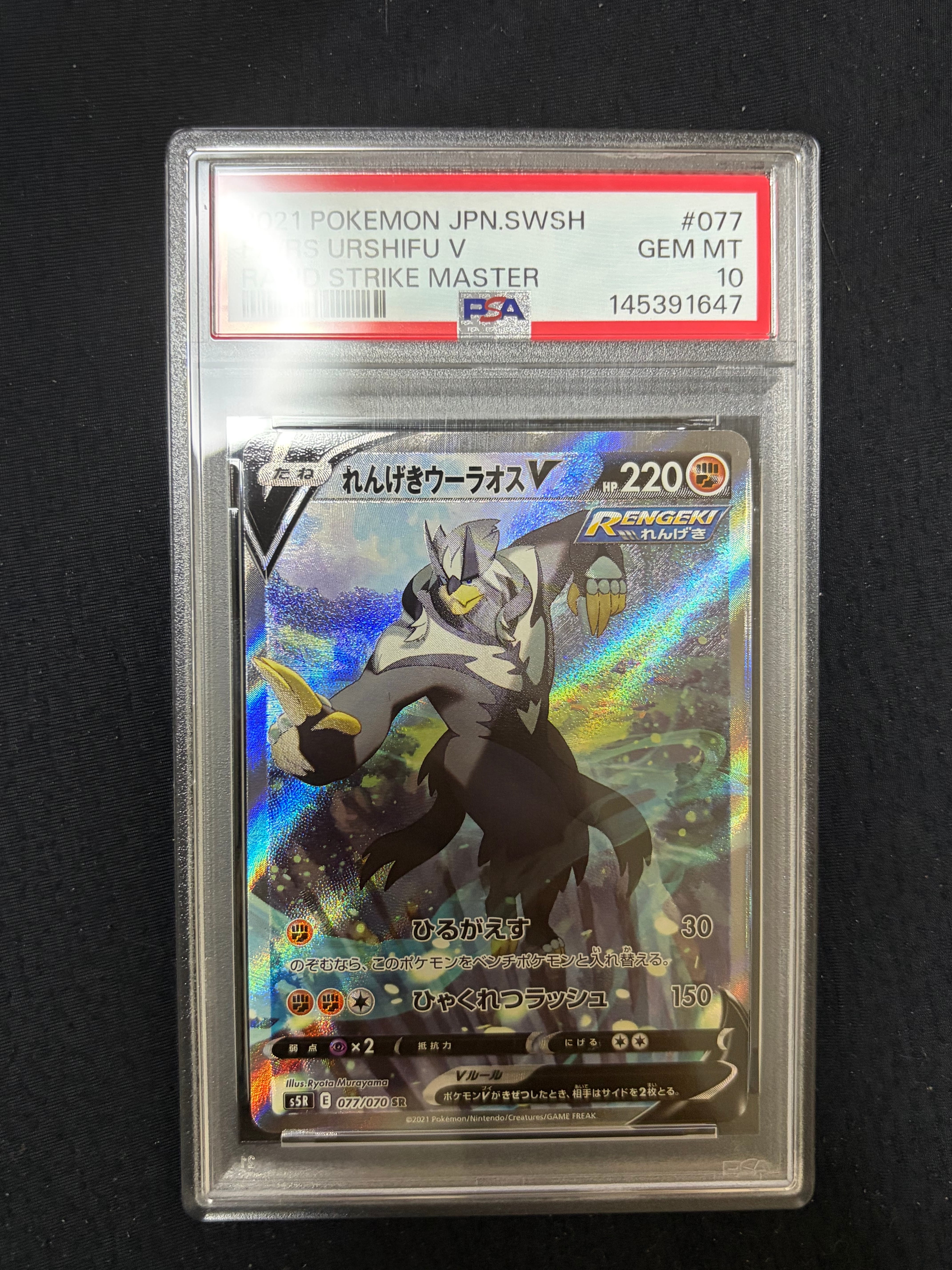 センパイとコウハイ SR :1ED [XY5-G 077/070](拡張パック「ガイア
