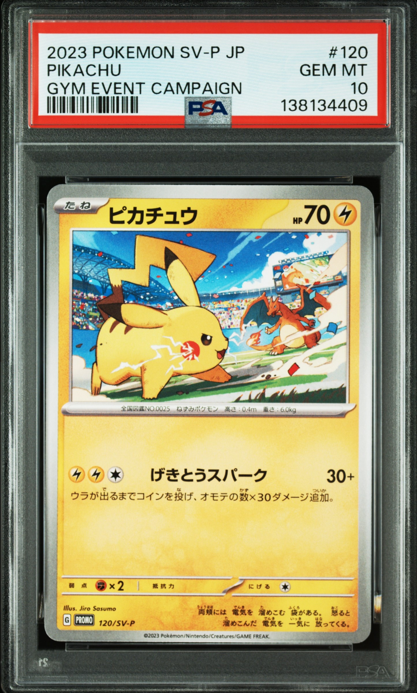 ピカチュウ: プロモ [SV-P 120](プロモーションカード「SV-P」)の新品