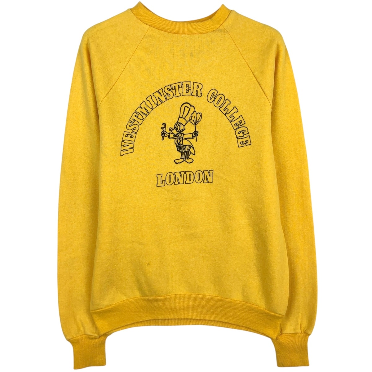 古着 Healthknit 3連プリント カレッジ キャラクタースウェットシャツ トレーナー USA製 メンズL相当 ヴィンテージ/eaa670381