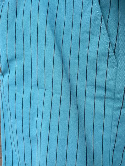 Supreme Work Short "Teal Stripe"