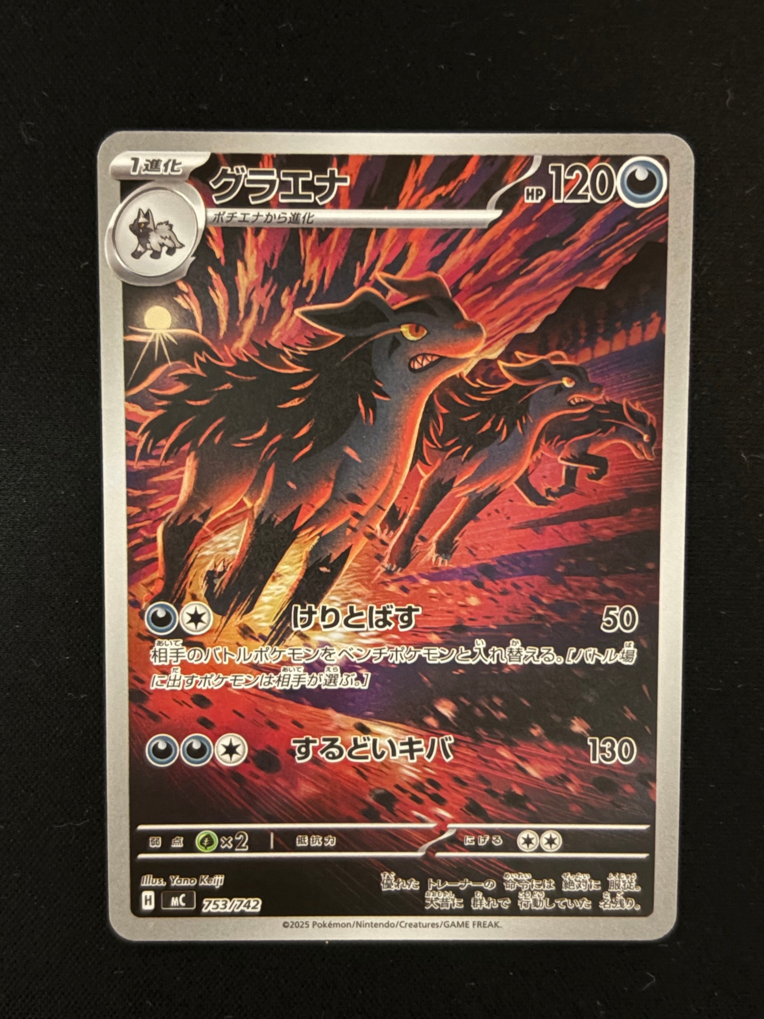 グラエナ AR仕様 [MC 753/742](スタートデッキ100「バトルコレクション