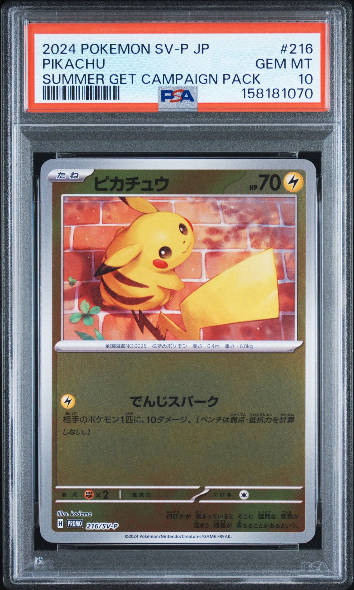 【PSA10】ピカチュウ P ポケカの夏がキタプロモ　216/sv-p PSA10】ピカチュウ P [SV-P 216](プロモカードパック「ポケカの夏が