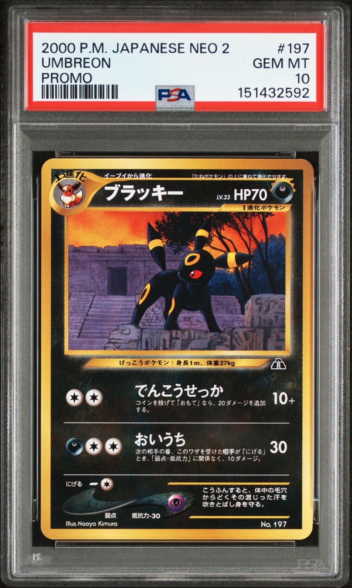 PSA10ブラッキープレミアムファイル2: 旧裏[neoP2 No.197