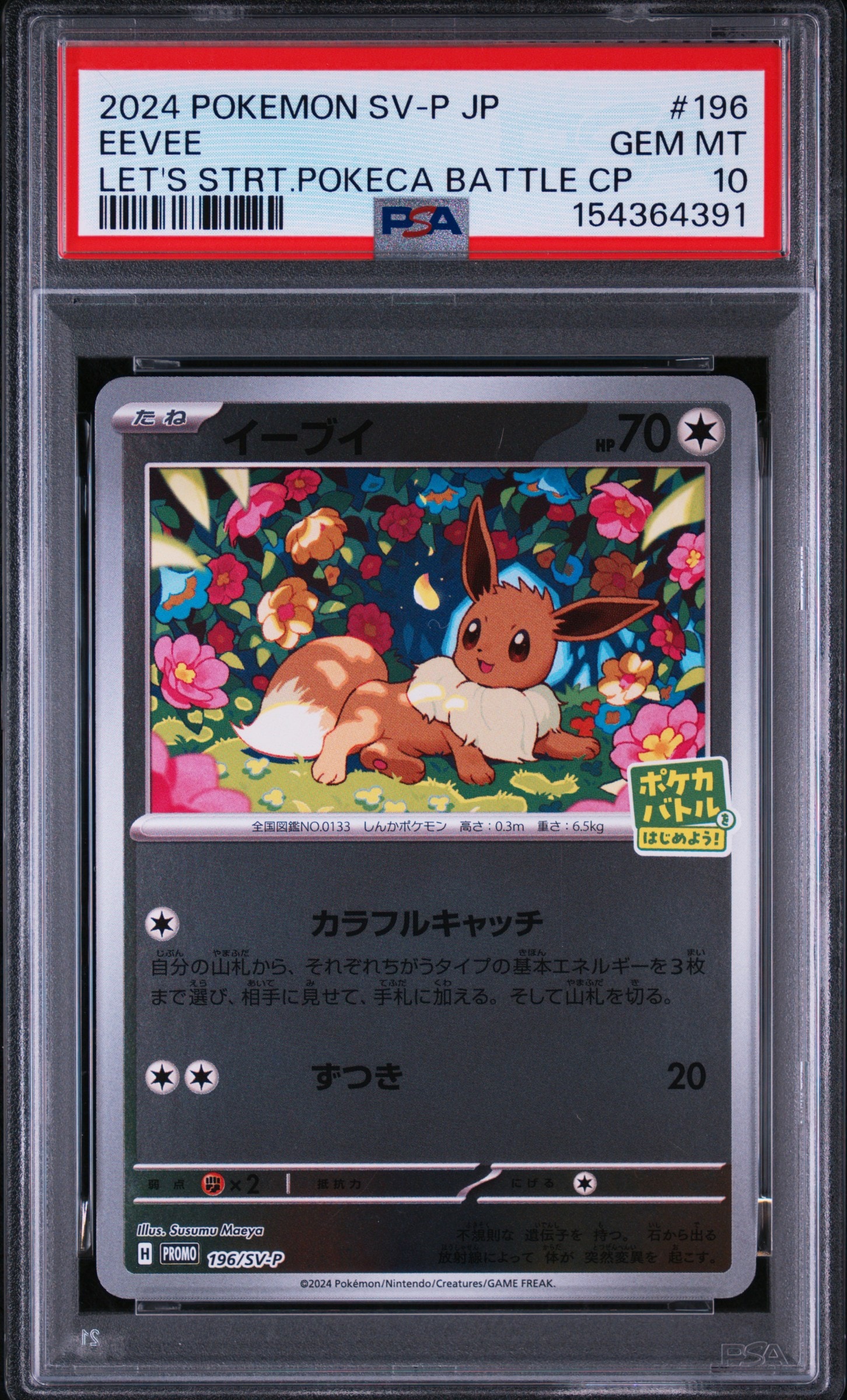 イーブイ P [SV-P-SM 196](プロモカードパック「ポケカバトルをはじめ
