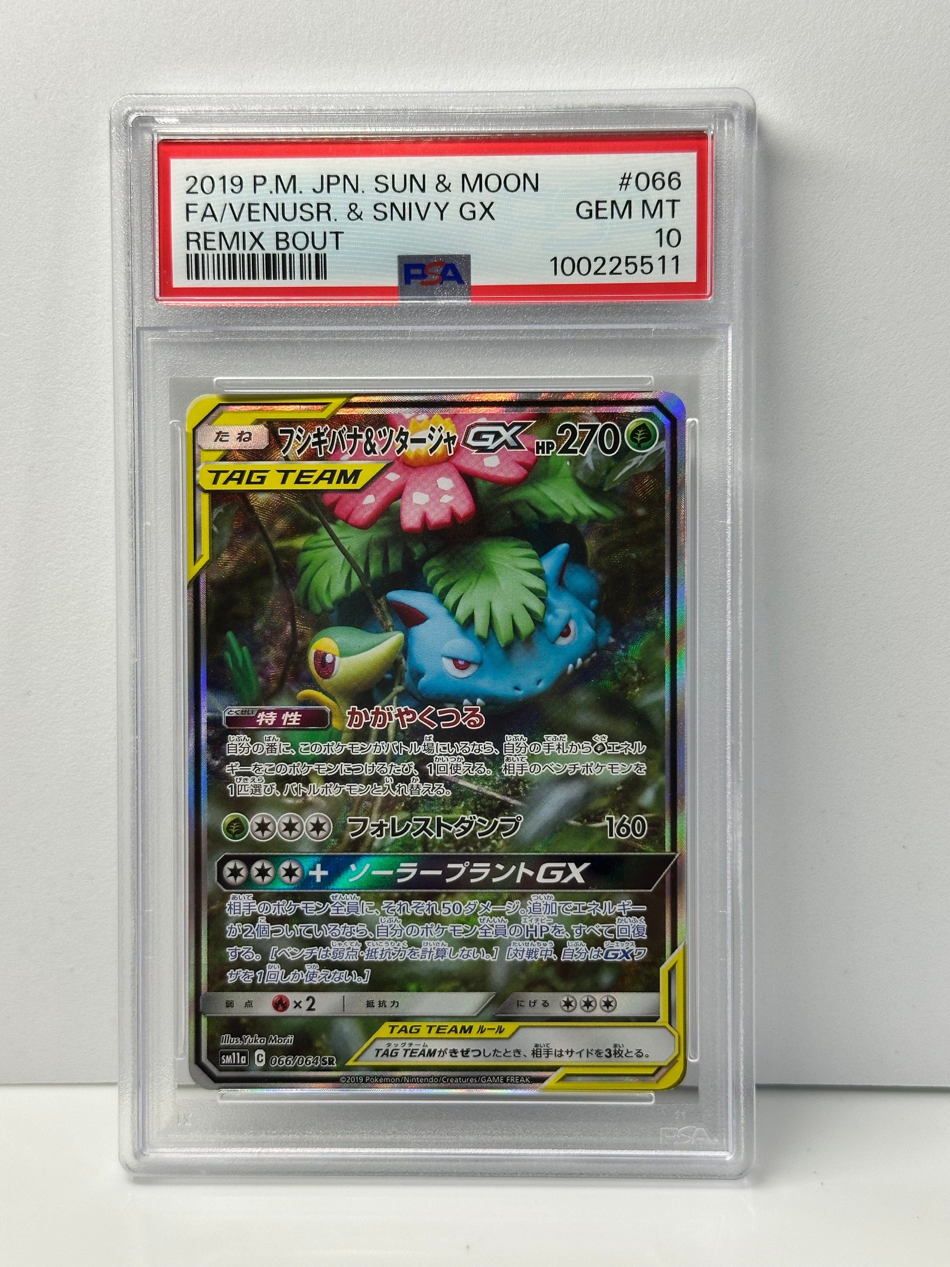 フシギバナ&ツタージャGX SR: SA[SM11a 066/064](強化拡張パック