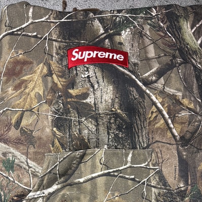 Supreme Box Logo Hooded Sweatshirt (25FW) "Realtree AP Camo"