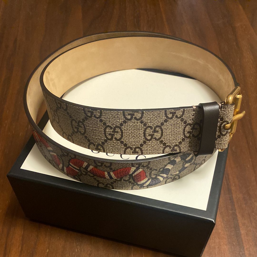 gucci belt snake