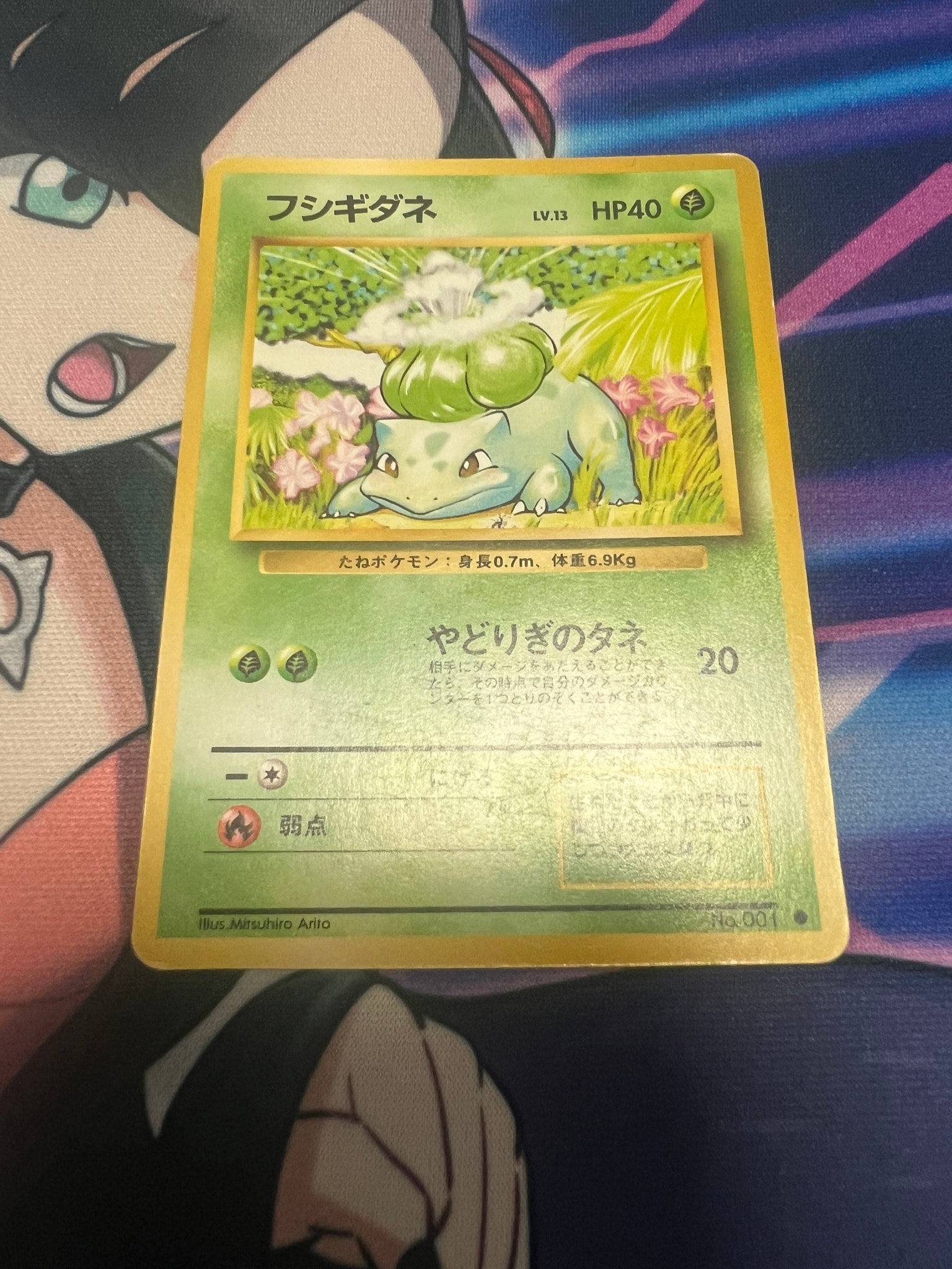 フシギダネ ○ : 旧裏 [PMCG1-2](拡張パック「ポケットモンスター