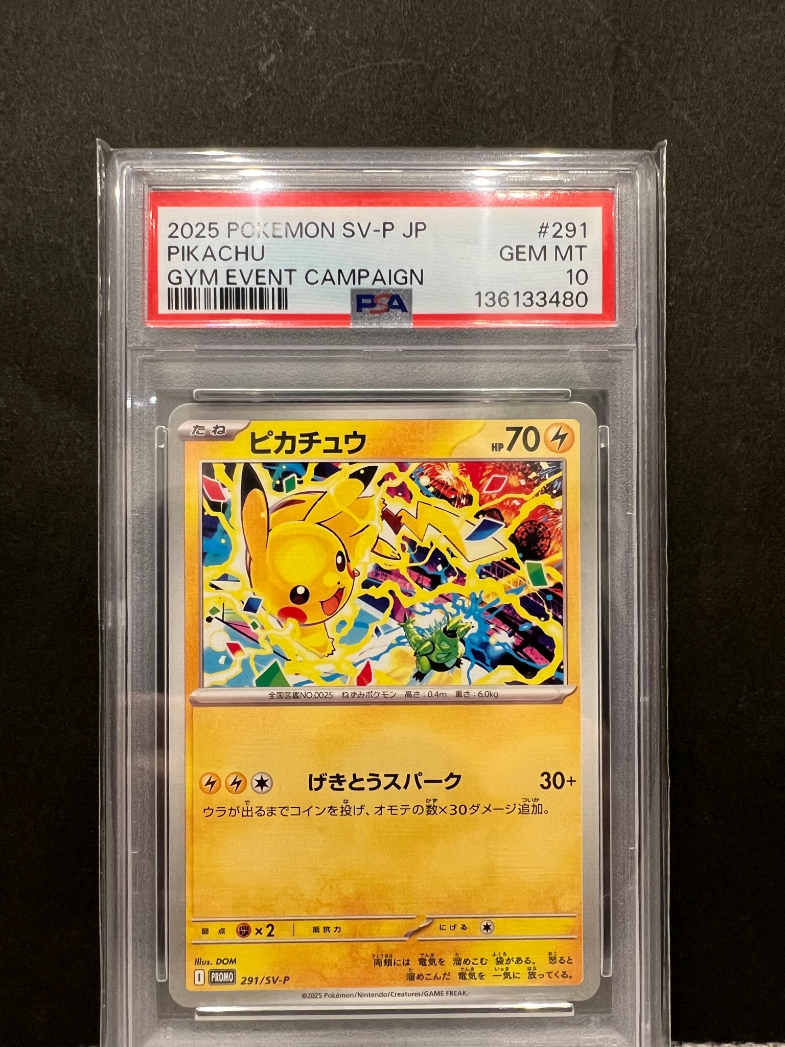 PSA10】ピカチュウ P [SV-P 291](プロモーションカード「SV-P」) 1枚の