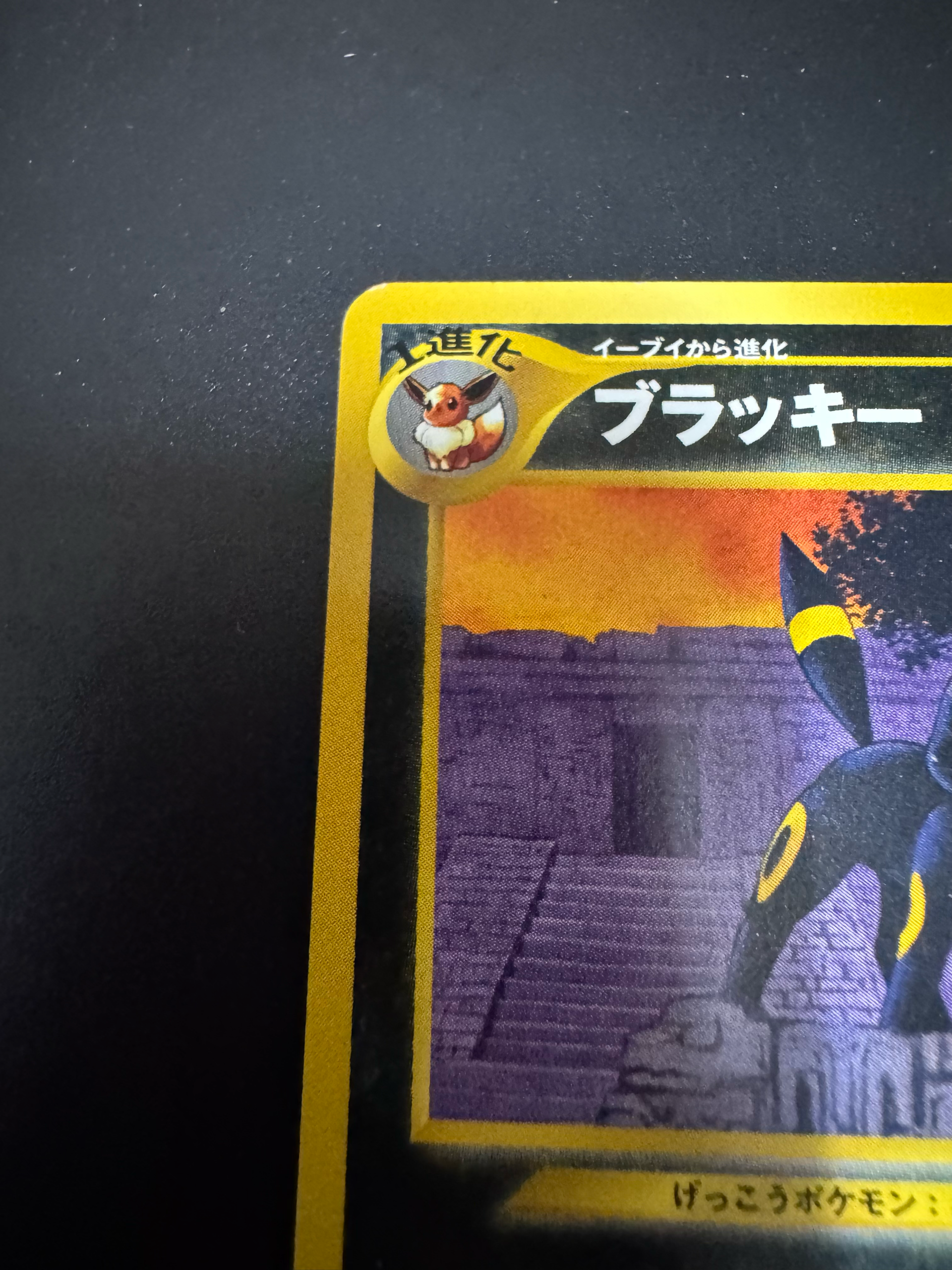 B（小さなキズ/ソリがある品）】ブラッキープレミアムファイル2: 旧裏