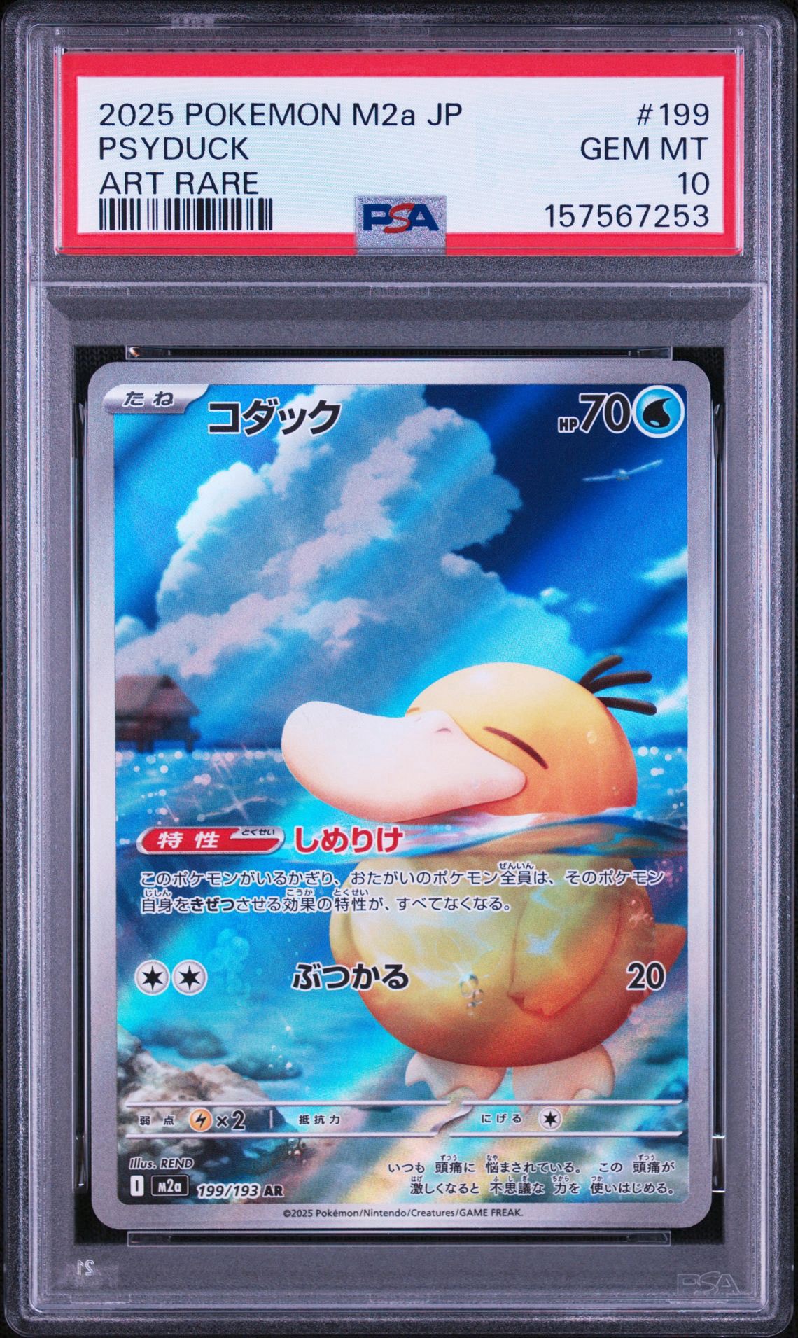 コダック AR [M2a 199/193](ハイクラスパック「MEGAドリームex」)