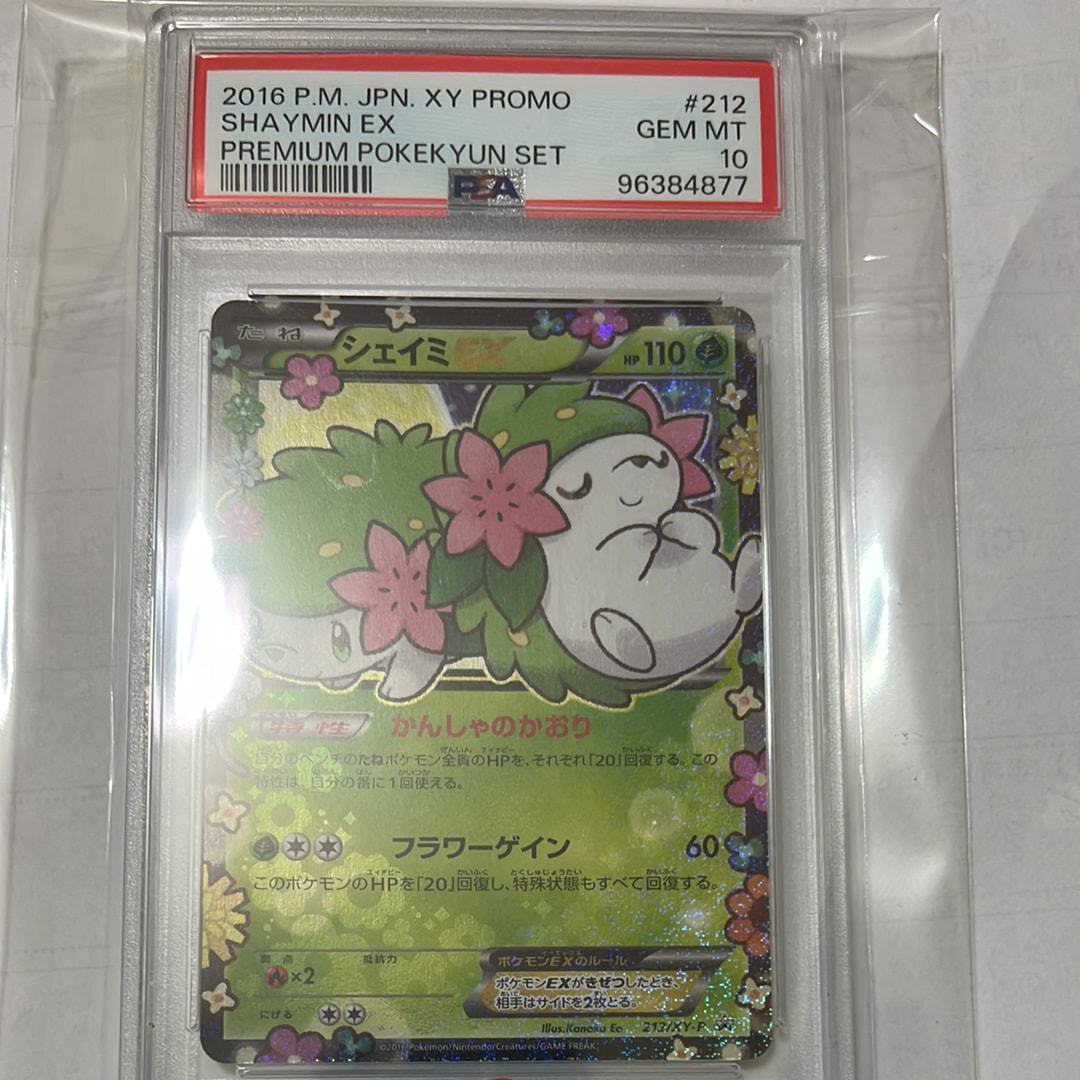 ディグダ ジムプロモ XYシリーズプロモーションカード PROMO 2枚 023/XY-P ディグダ： 第1弾 プロモーションカードパック | XY-Pプロモ