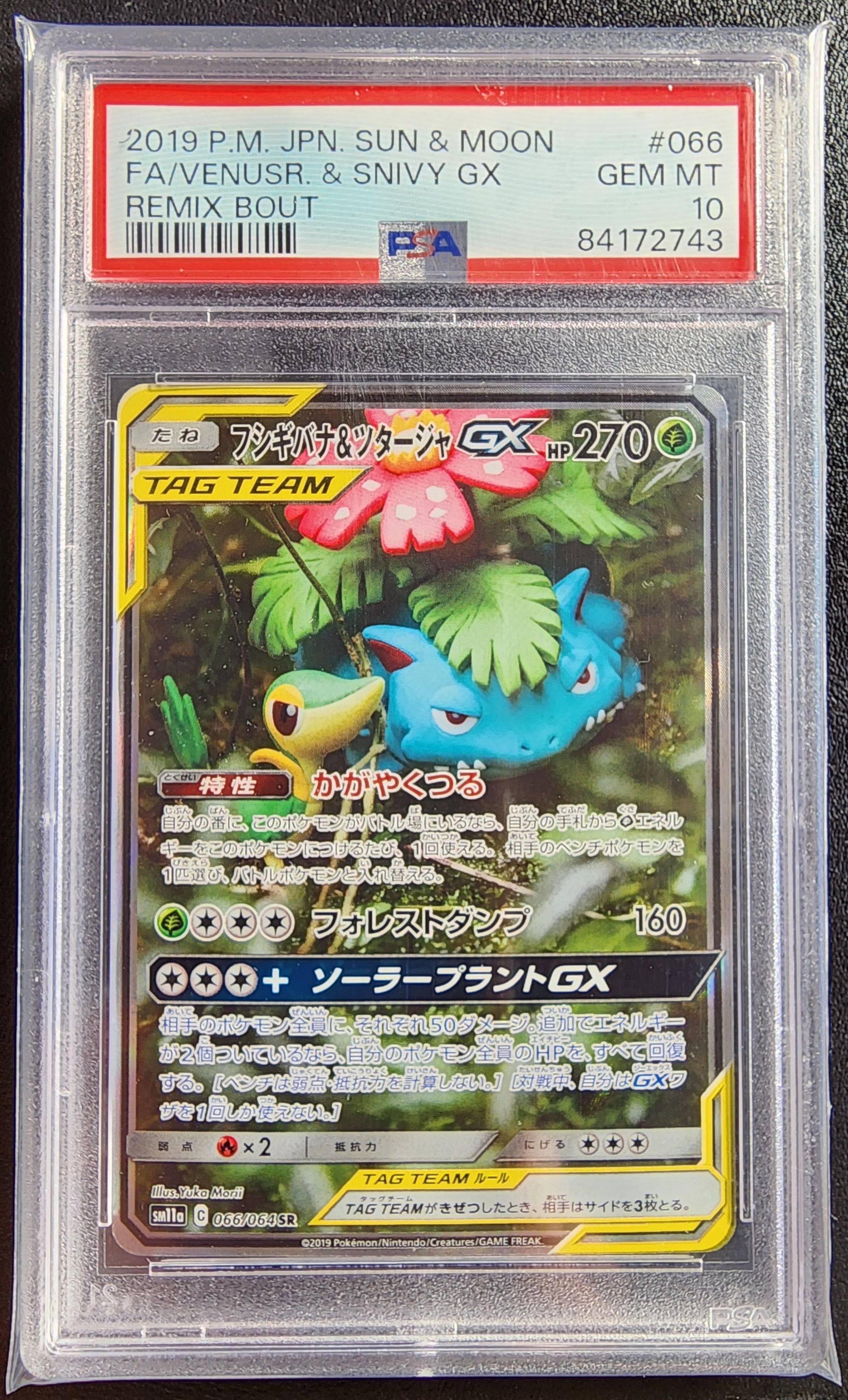 フシギバナ&ツタージャGX SR: SA[SM11a 066/064](強化拡張パック「リミックスバウト」)