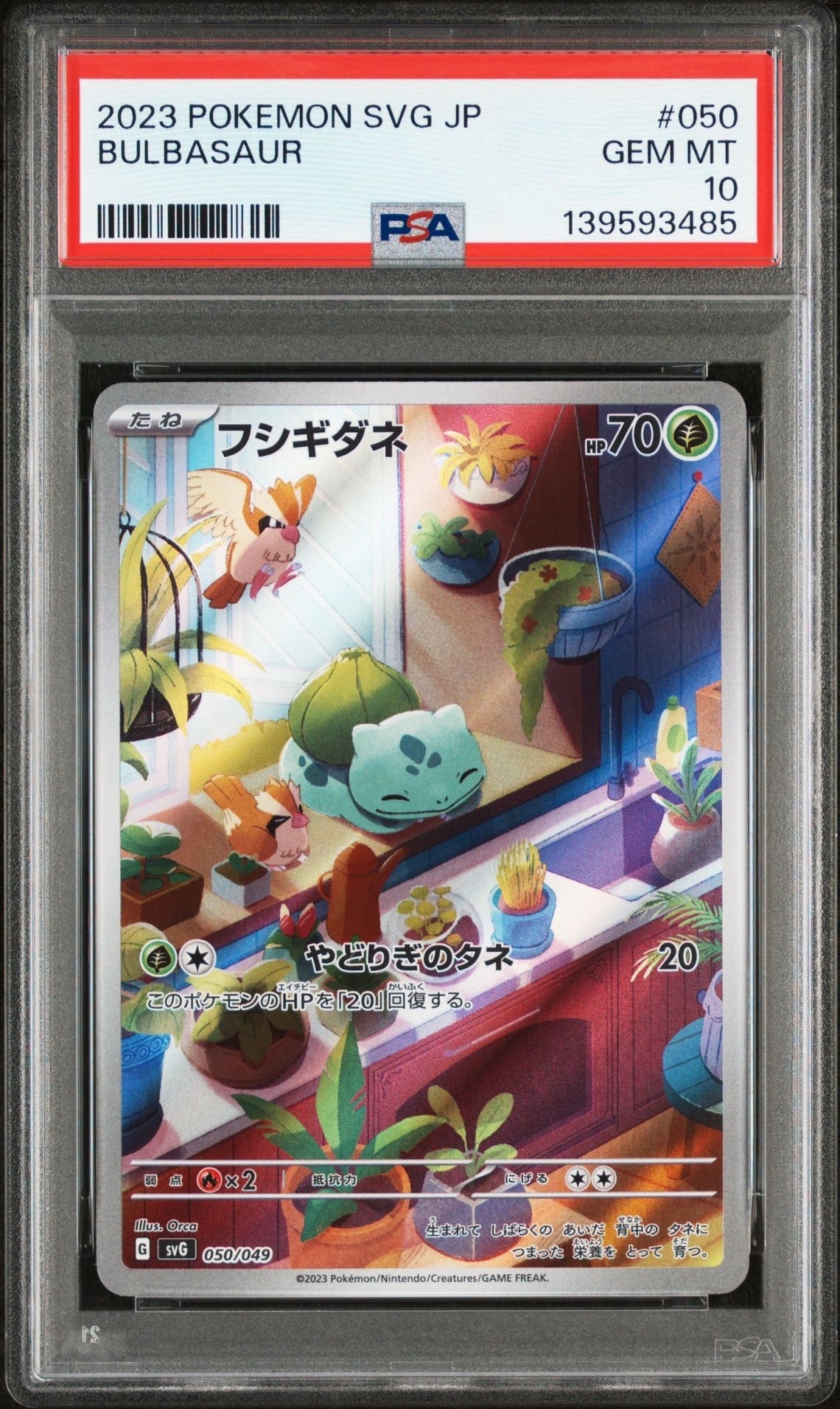 フシギダネ :フルイラスト [SVG 050/049](スペシャルデッキセットex「フシギバナ・リザードン・カメックス」)