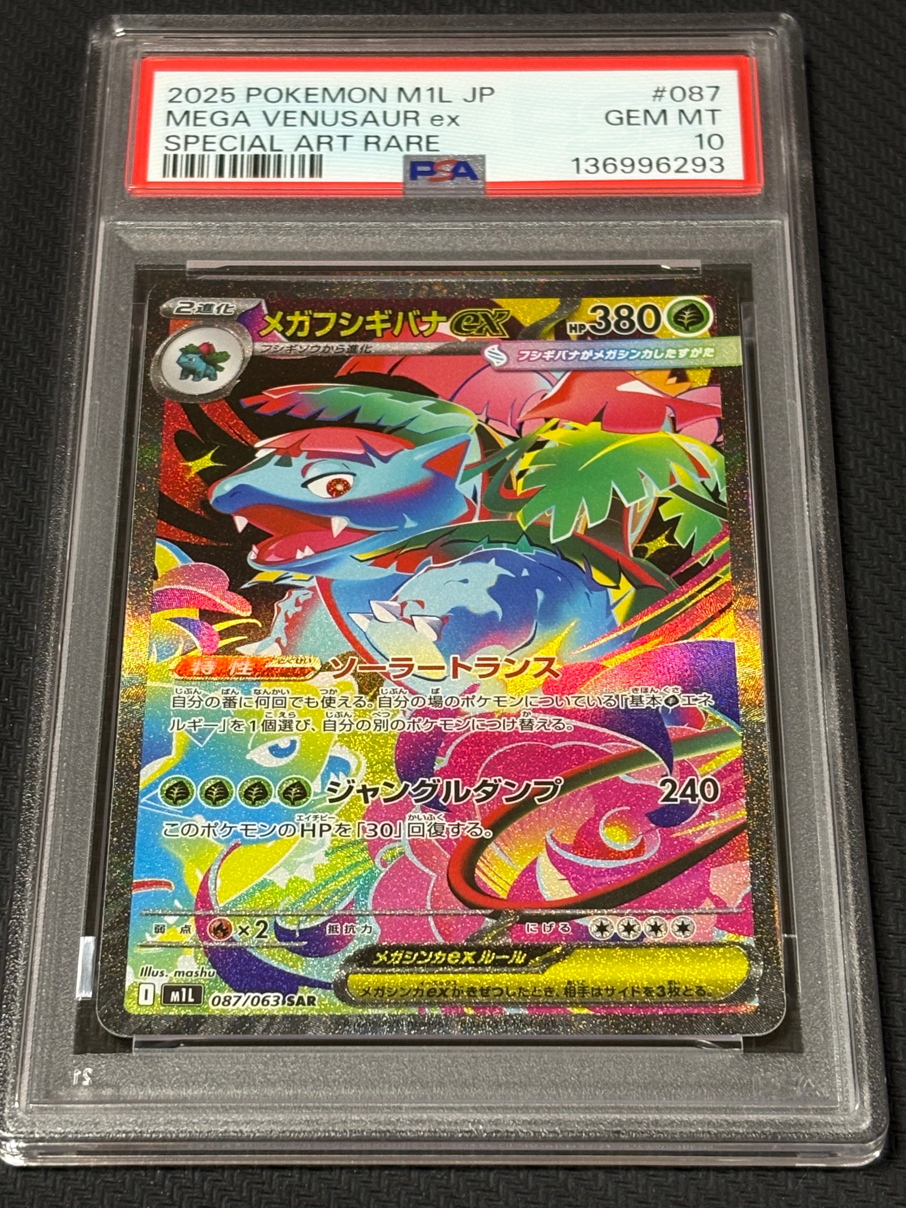 ブラッキー R :1ED [BW8 031/051](拡張パック「ライデンナックル」)の