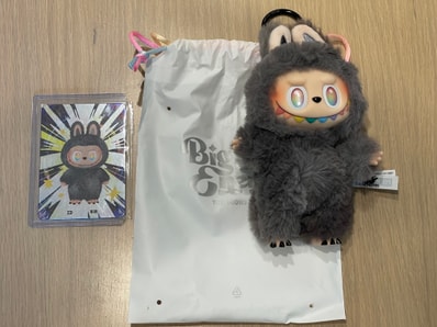 POP MART THE MONSTERS (LABUBU) Big into Energy Series Plush Pendant ID (Secret)