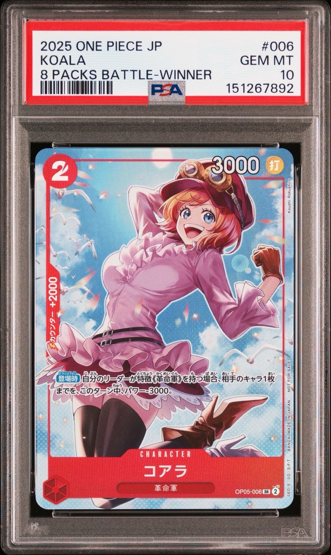 コアラ SR :優勝記念品 [OP05-006](プロモーションカード「8パックバトル 2026年3月」)