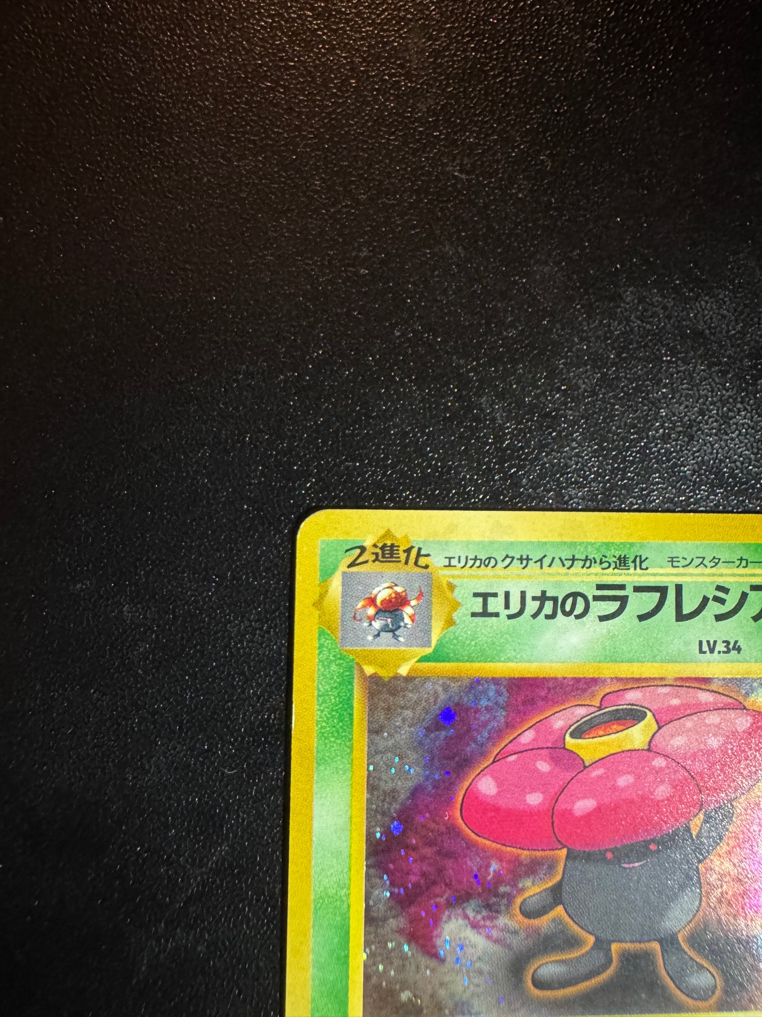 エリカのラフレシア ☆ ジム拡張第1弾 リーダーズスタジアム PSA7 エリカのラフレシア ☆ ジム拡張第1弾 リーダーズスタジアム PSA7