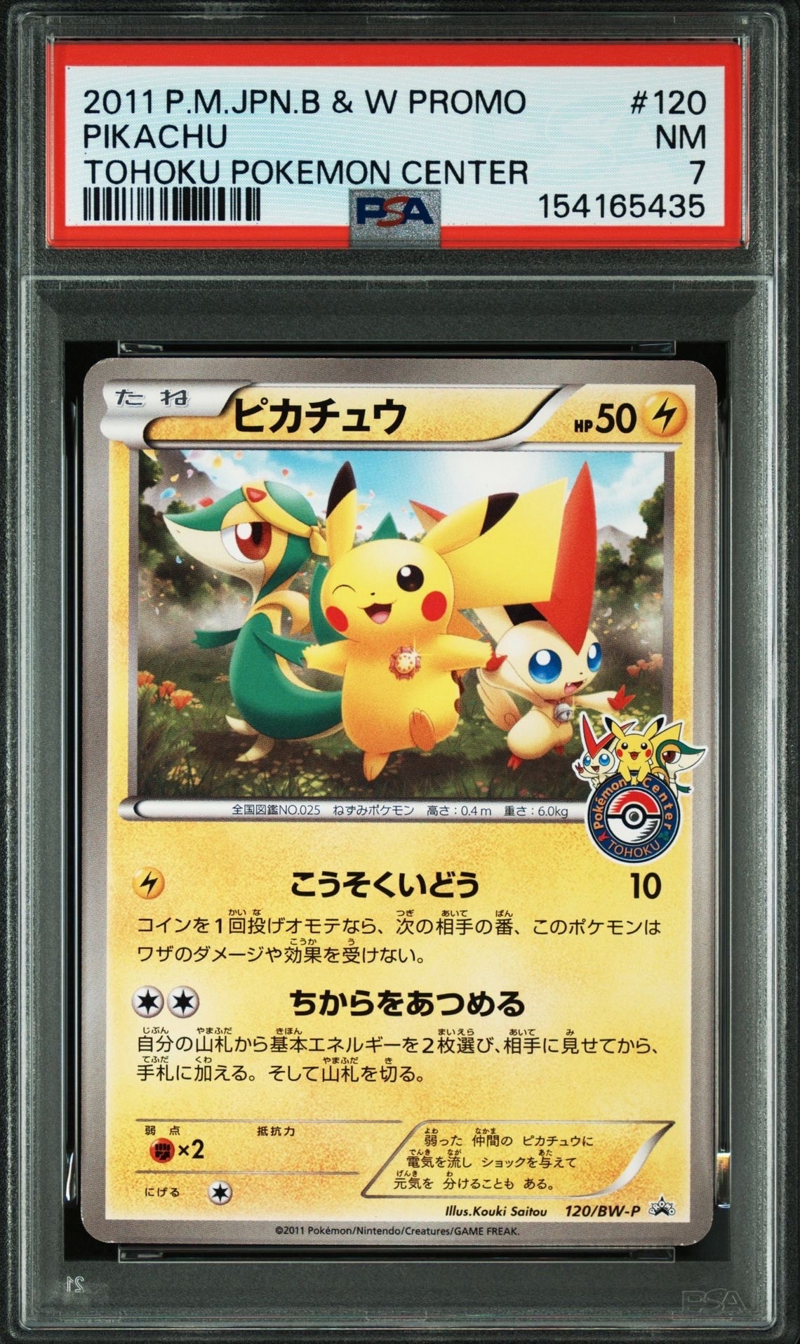 ピカチュウ P [BW-P 120/BW-P](プロモーションカード「ポケモン