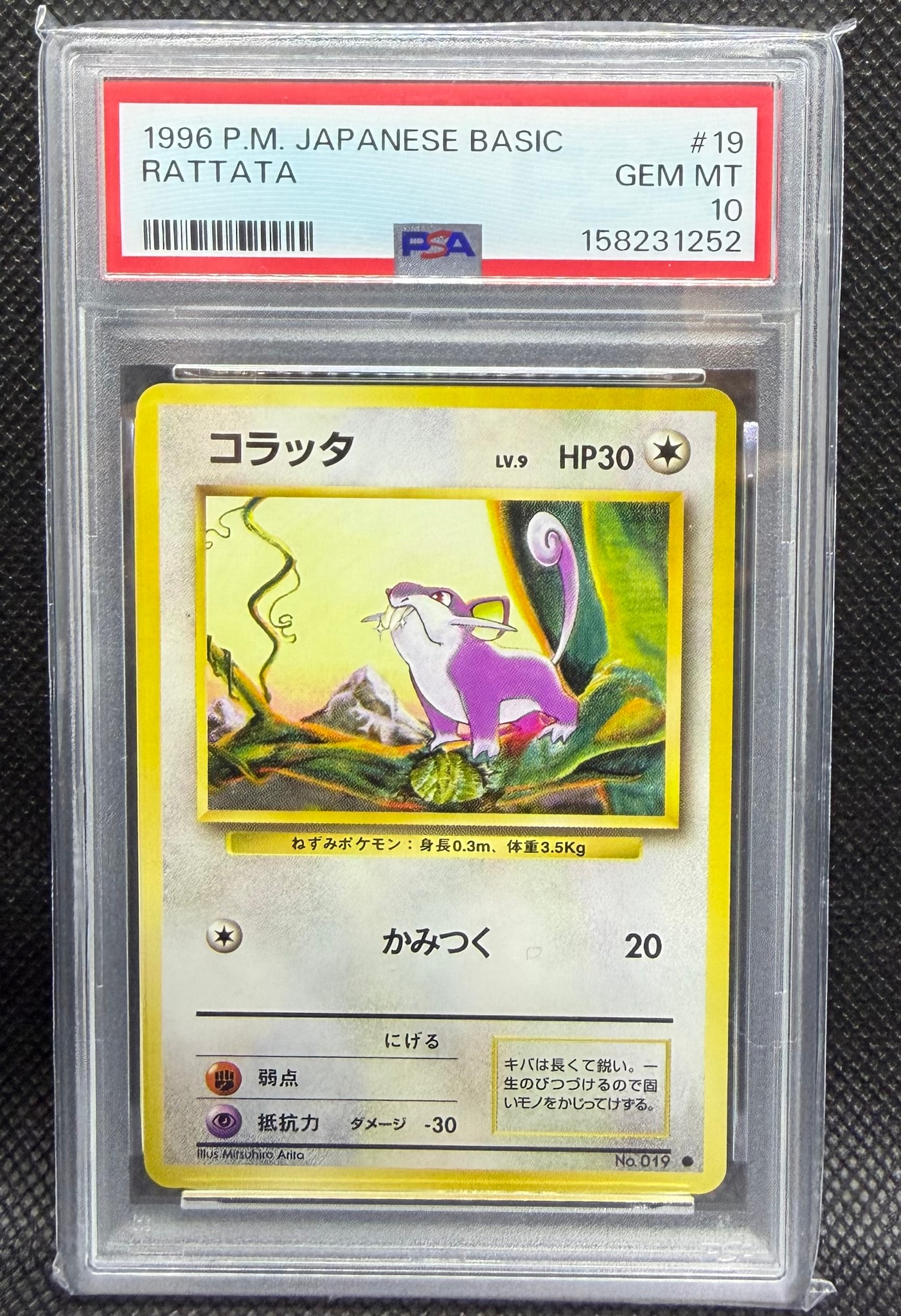 Pokémon Card PSA ポケモンカード　コラッタ　Rattata PSA10】コラッタ ○ : 旧裏 [PMCG1-2](拡張パック「ポケットモンスター