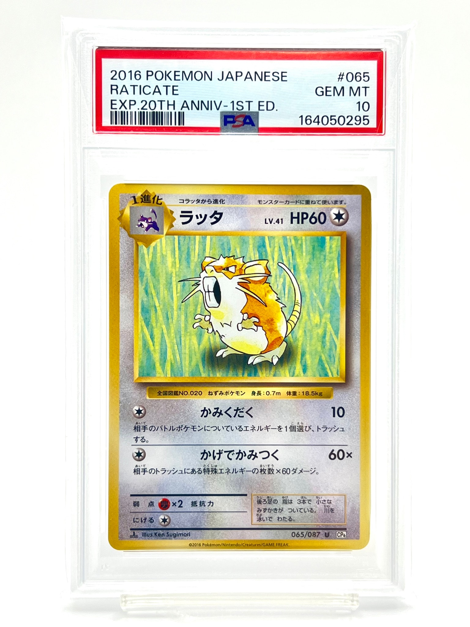 ラッタ U :1ED [CP6 065/087](コンセプトパック「ポケットモンスターカードゲーム 拡張パック 20th Anniversary」)