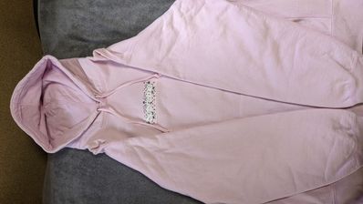 Supreme Bandana Box Logo Hooded Sweatshirt "Pink"