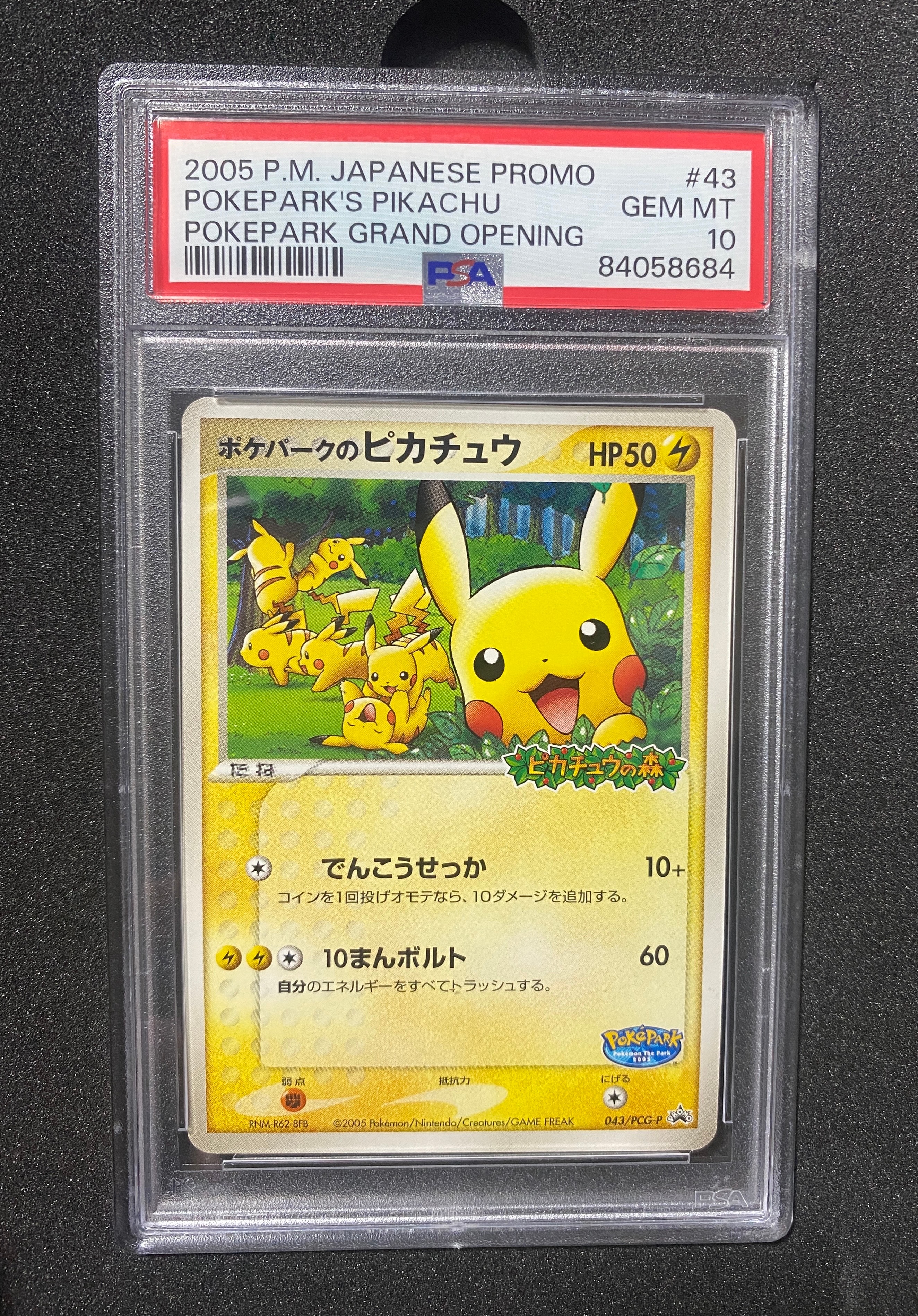 ポケパークのピカチュウ P [PCG-P 043](プロモーションカード「ポケパーク ルギアのくるくるシップ」)