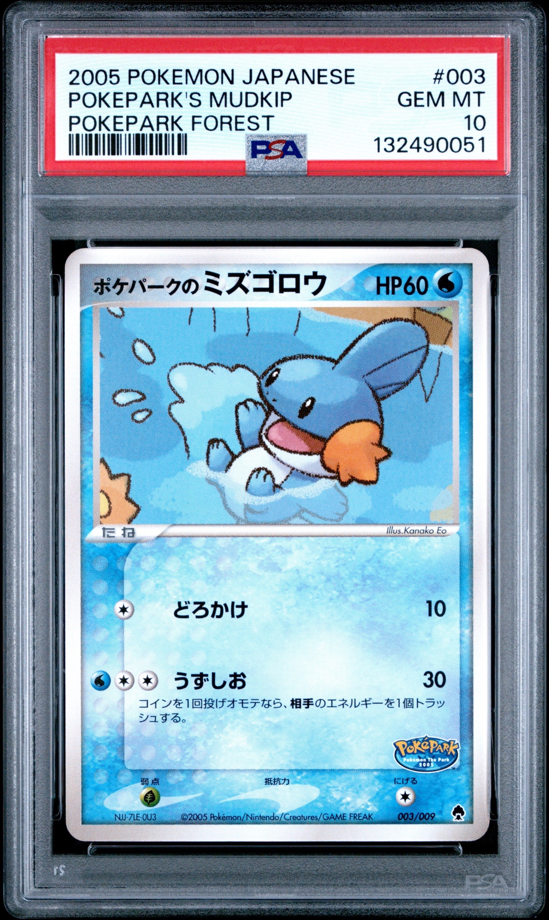 状態D】ポケパークのミズゴロウ [PCG 003/009](ポケパークプレミアム