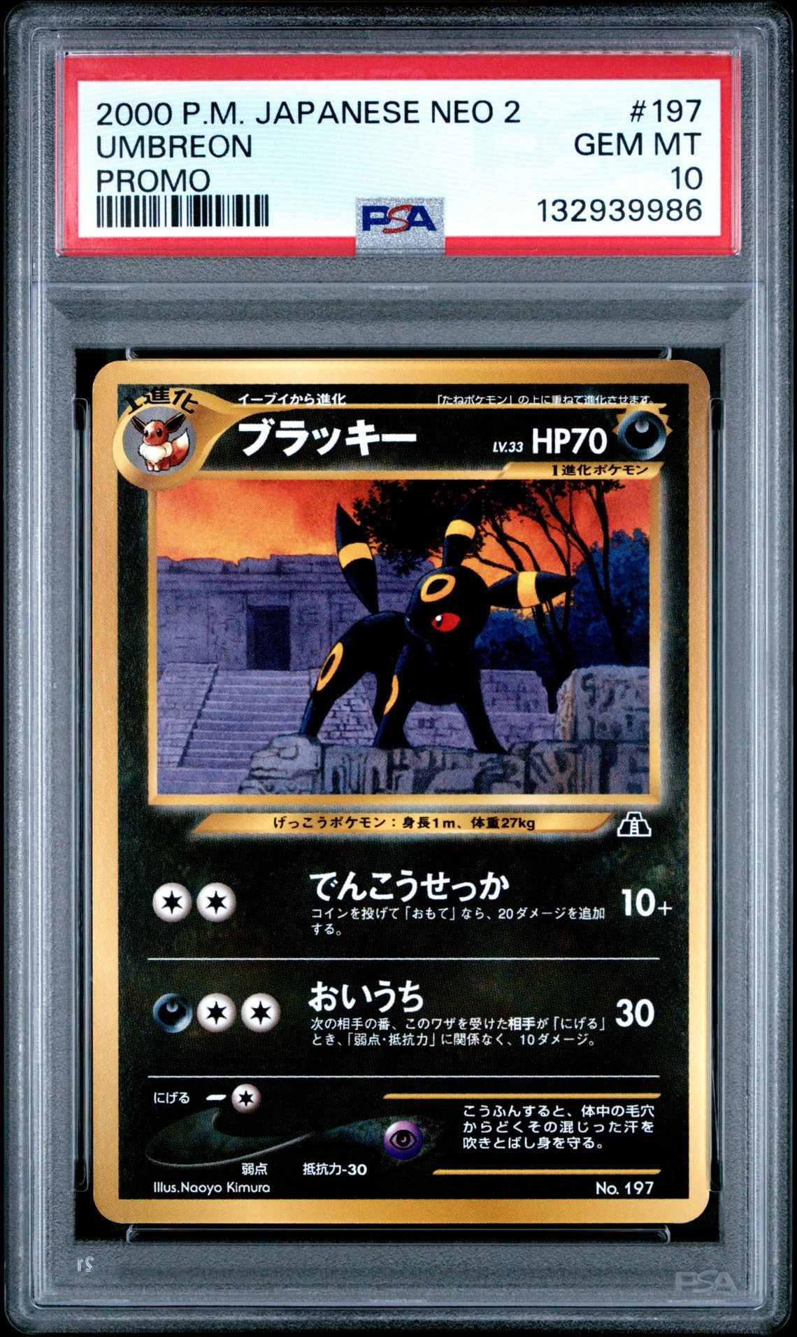 ブラッキープレミアムファイル2: 旧裏[neoP2 No.197](プレミアムファイル2)