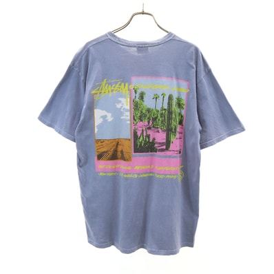 STUSSY ステューシー バックプリント 半袖 Tシャツ M ブルーグレー