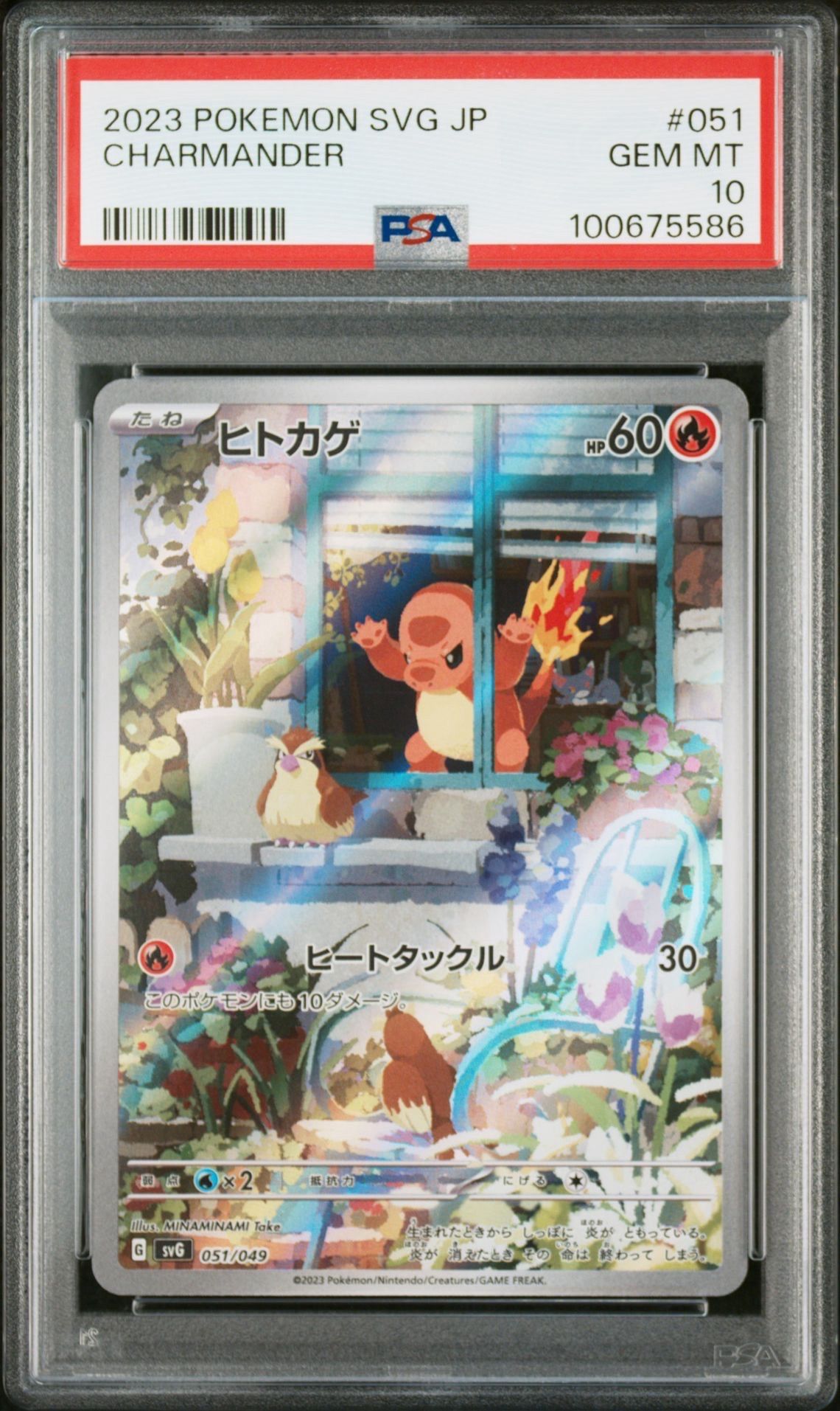 ヒトカゲ :フルイラスト [SVG 051/049](スペシャルデッキセットex「フシギバナ・リザードン・カメックス」)
