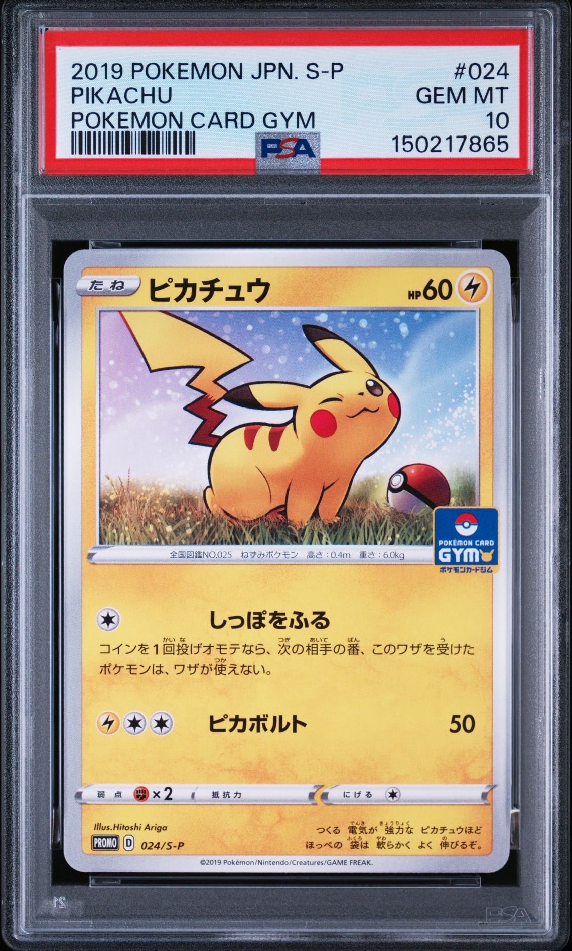PSA10】ピカチュウ: プロモ P [S-P 024](ポケモンカードゲーム ソード