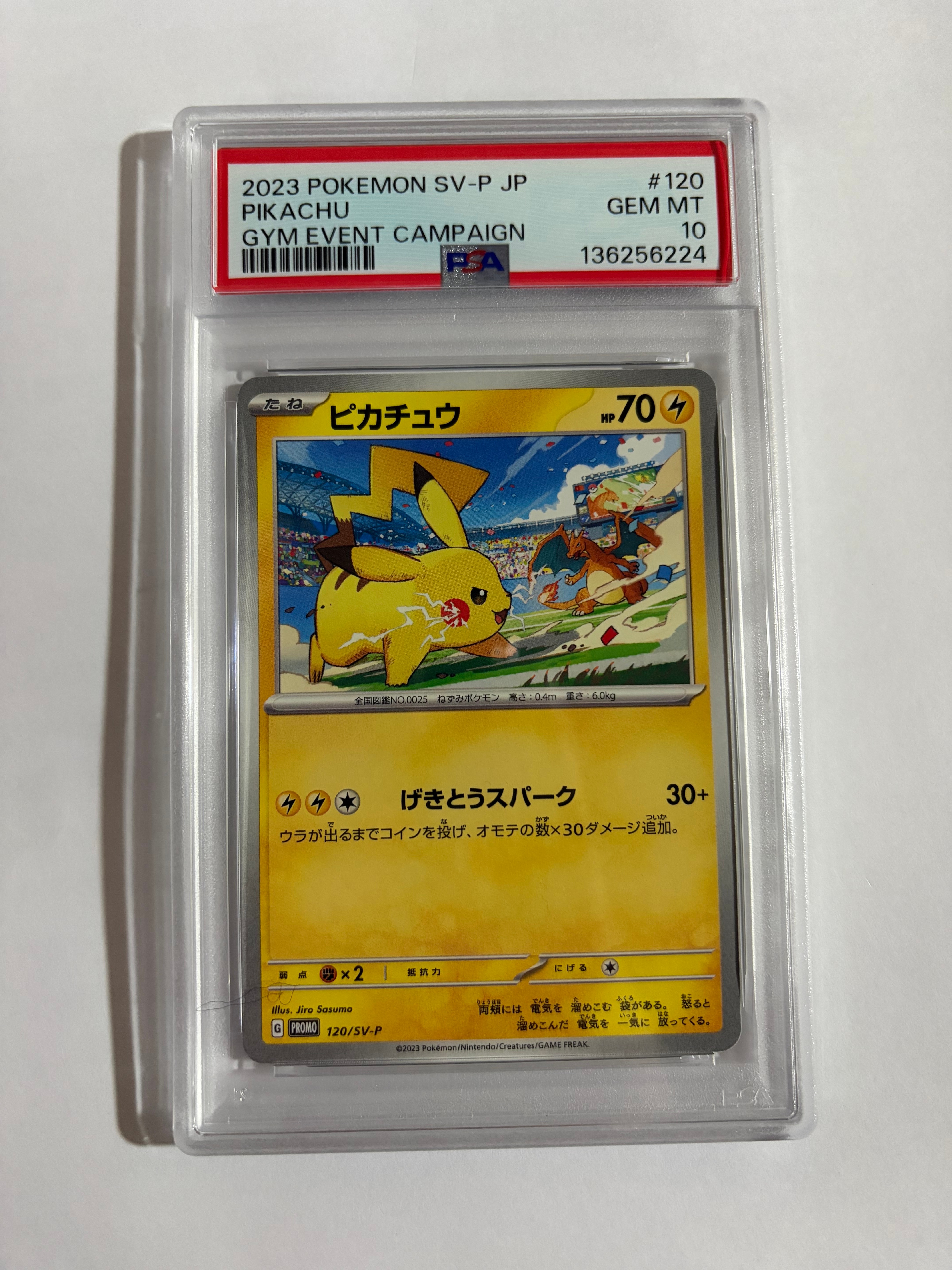 ピカチュウ: プロモ [SV-P 120](プロモーションカード「SV-P」)