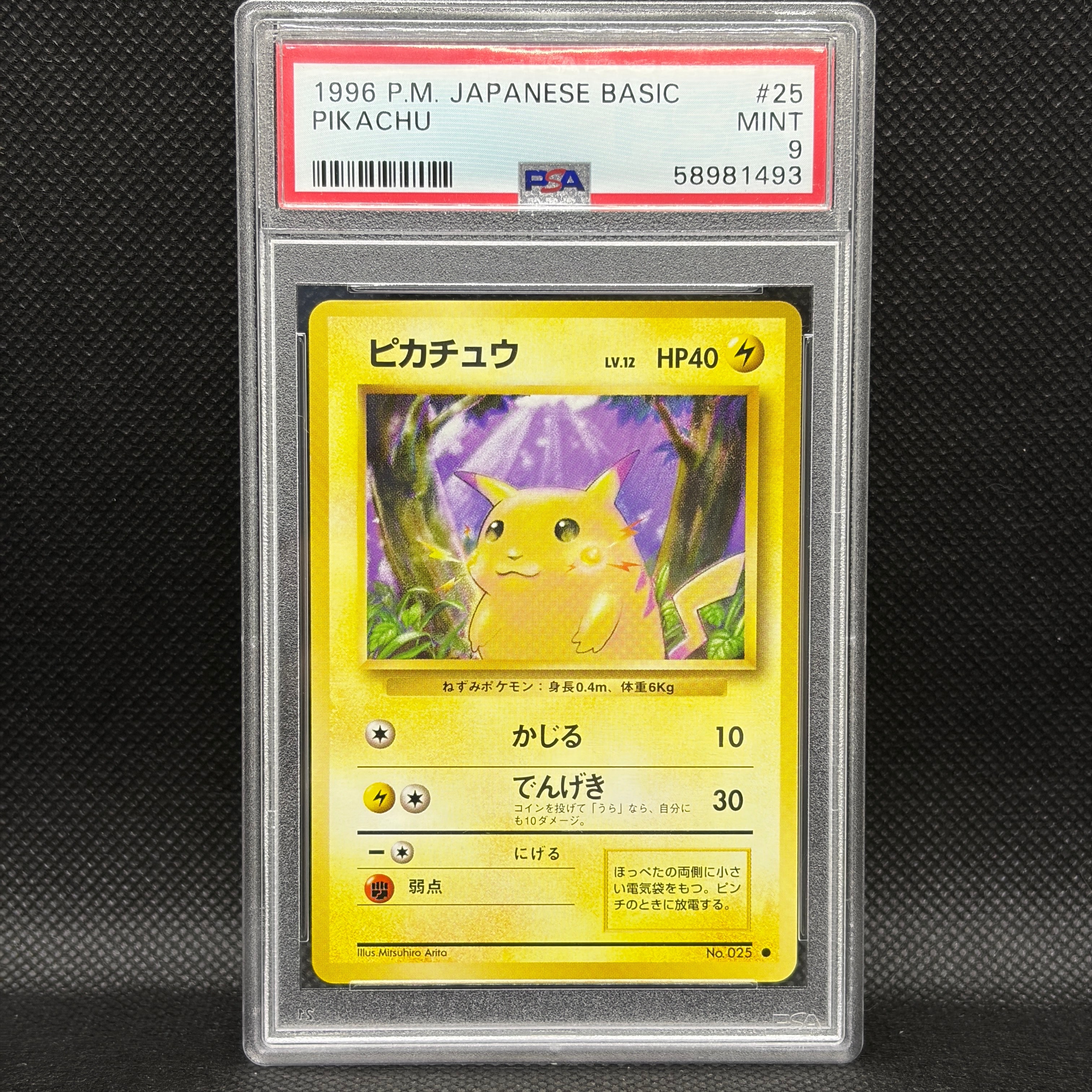 ピカチュウ ● : 旧裏 [PMCG1-2](拡張パック「ポケットモンスター カードゲーム」再販)