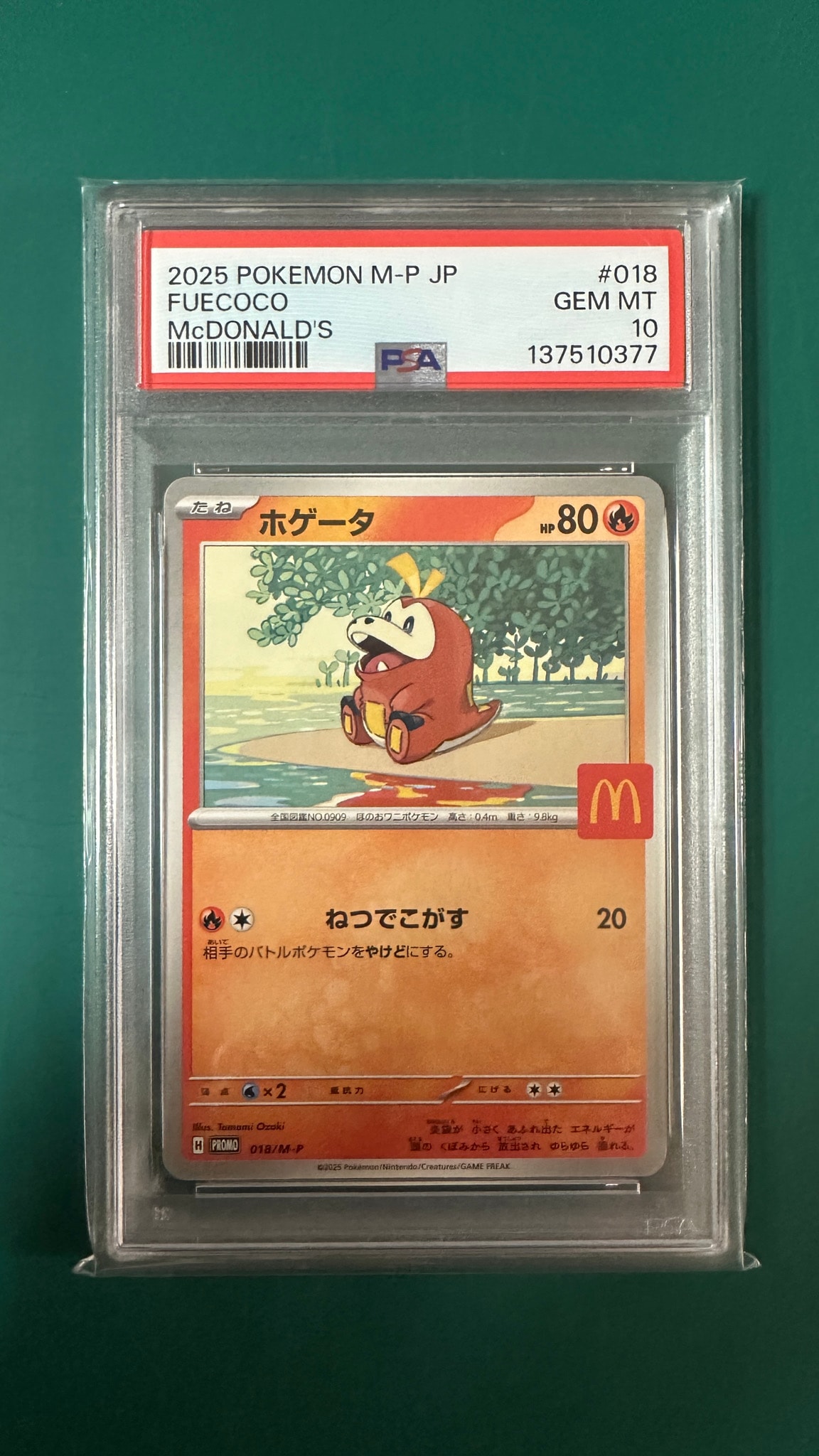 ホゲータ P [M-P 018](プロモカードパック「マクドナルド ハッピー