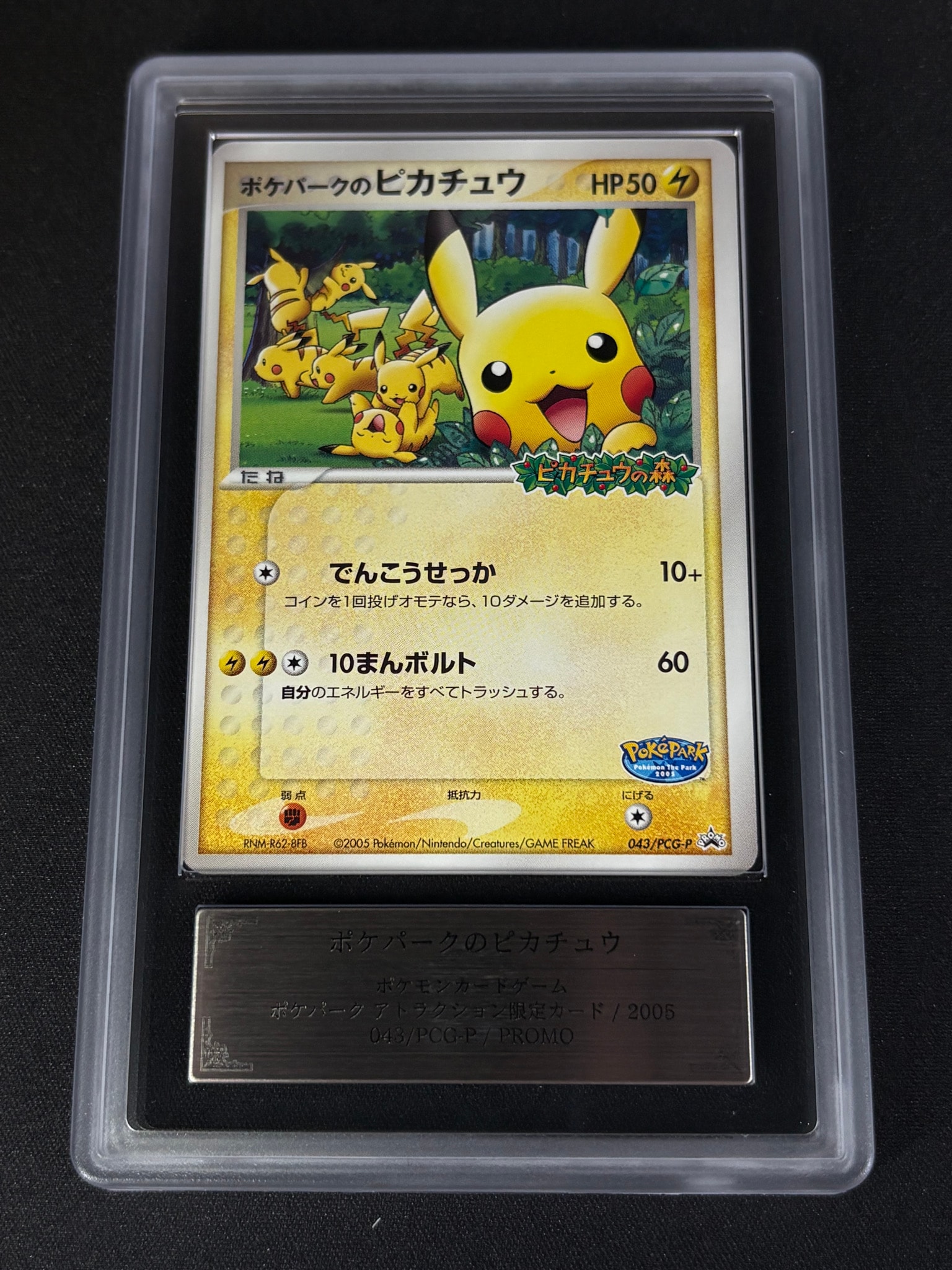 ポケパークのピカチュウ P [PCG-P 043](プロモーションカード