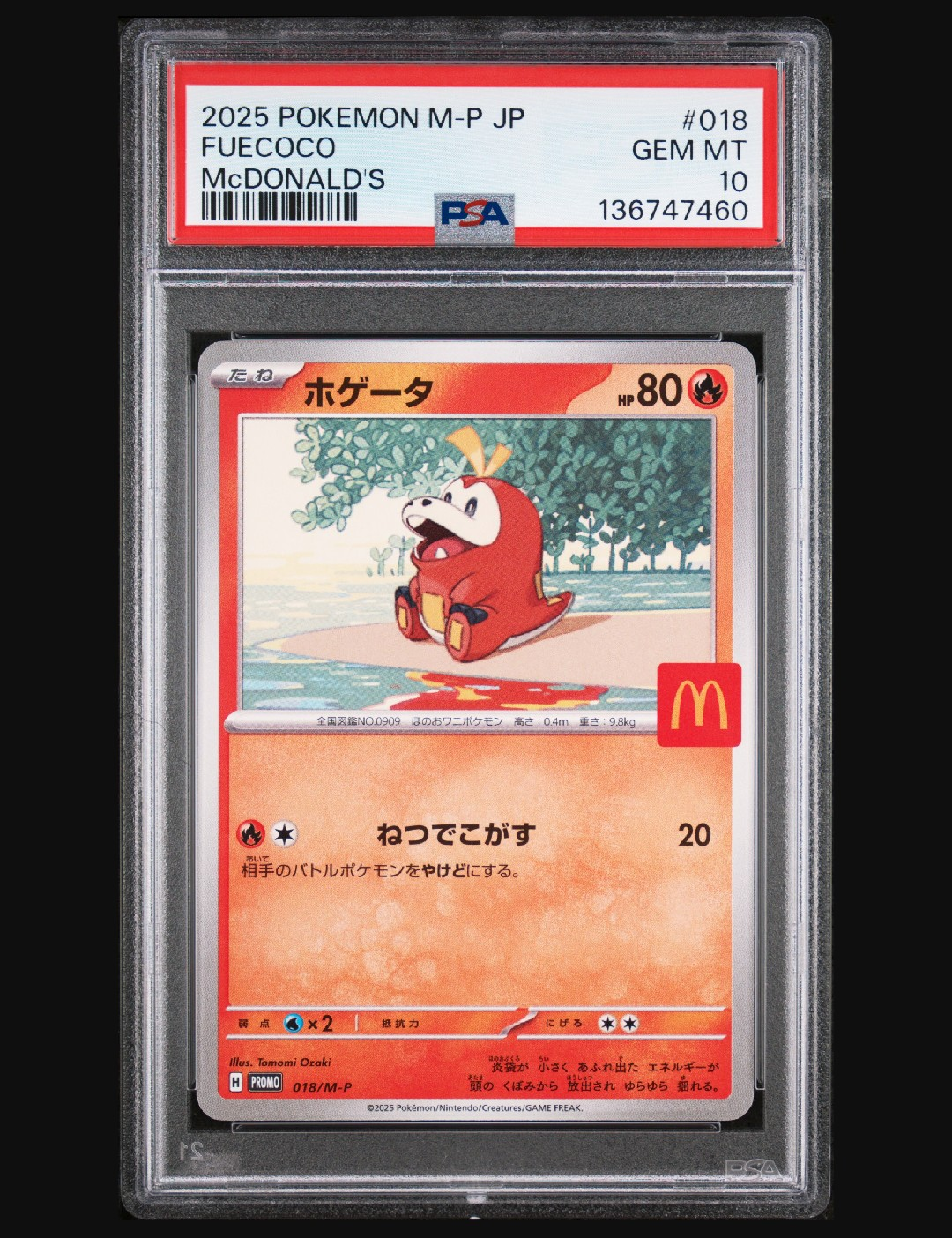 ホゲータ P [M-P 018](プロモカードパック「マクドナルド ハッピー