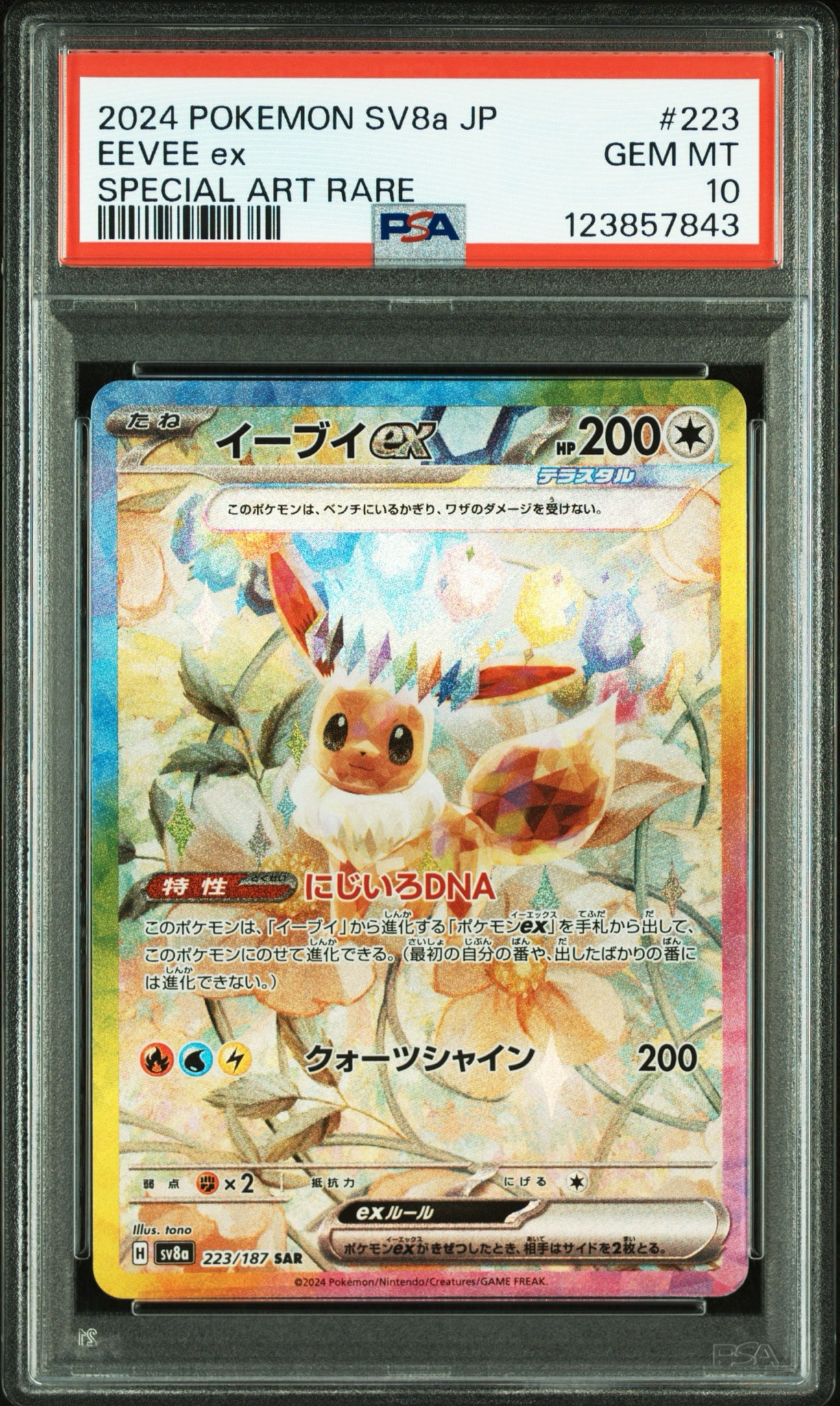 イーブイex SAR [SV8a 223/187](ハイクラスパック「テラスタルフェスex