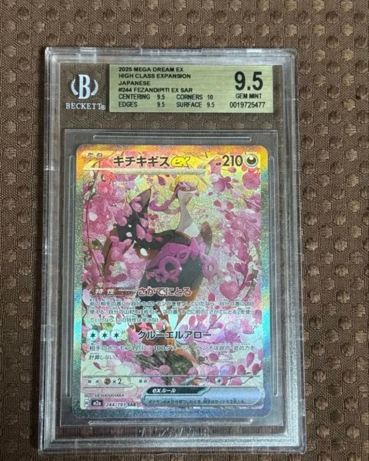 キチキギスex SAR [M2a 244/193](ハイクラスパック「MEGAドリームex